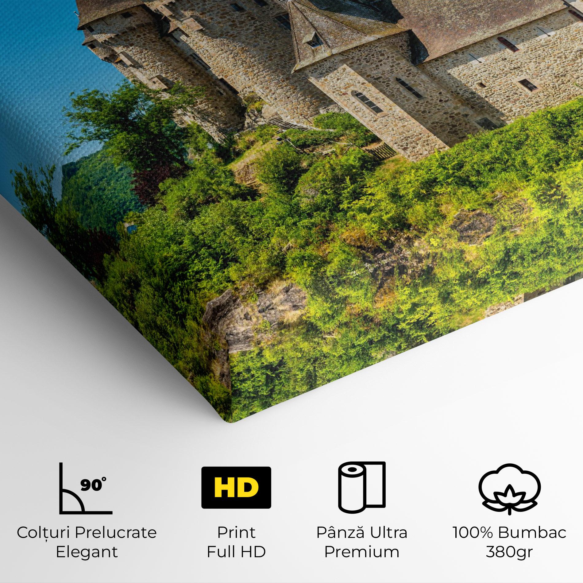 Tablou Canvas Medieval Castle France mockup 4