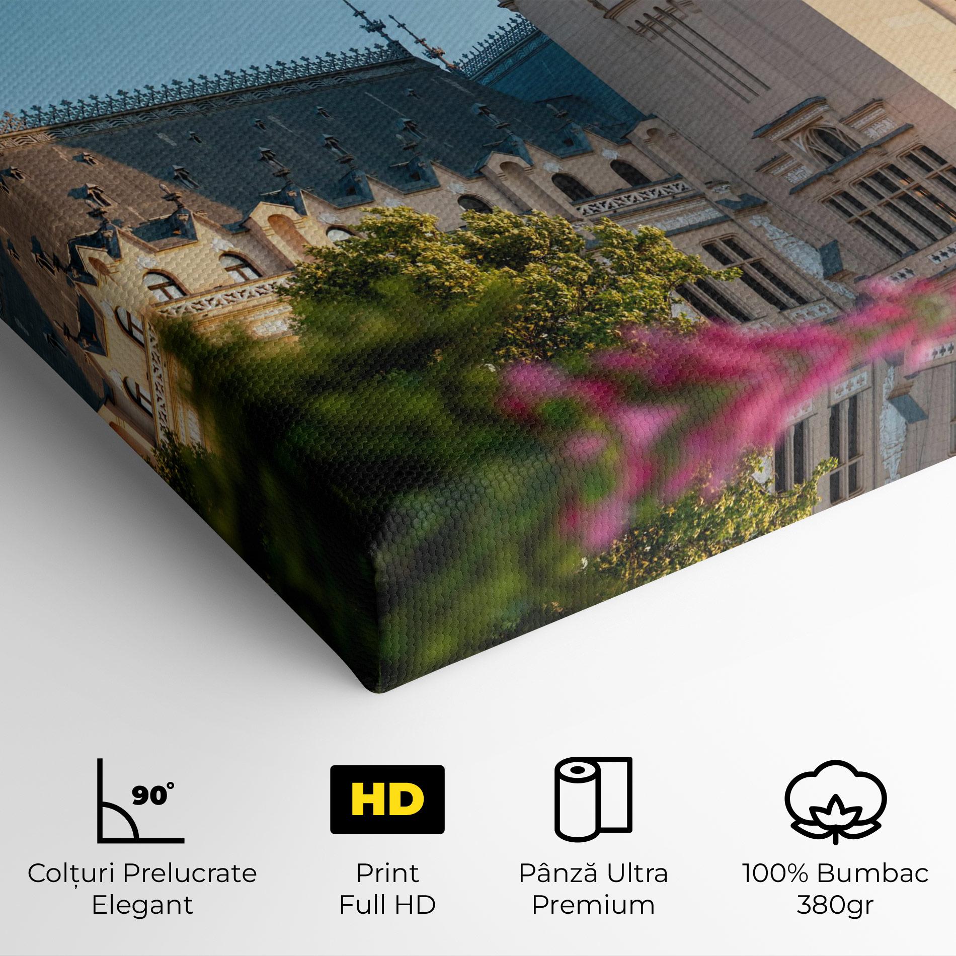 Tablou Canvas Palace Culture Iasi mockup 4