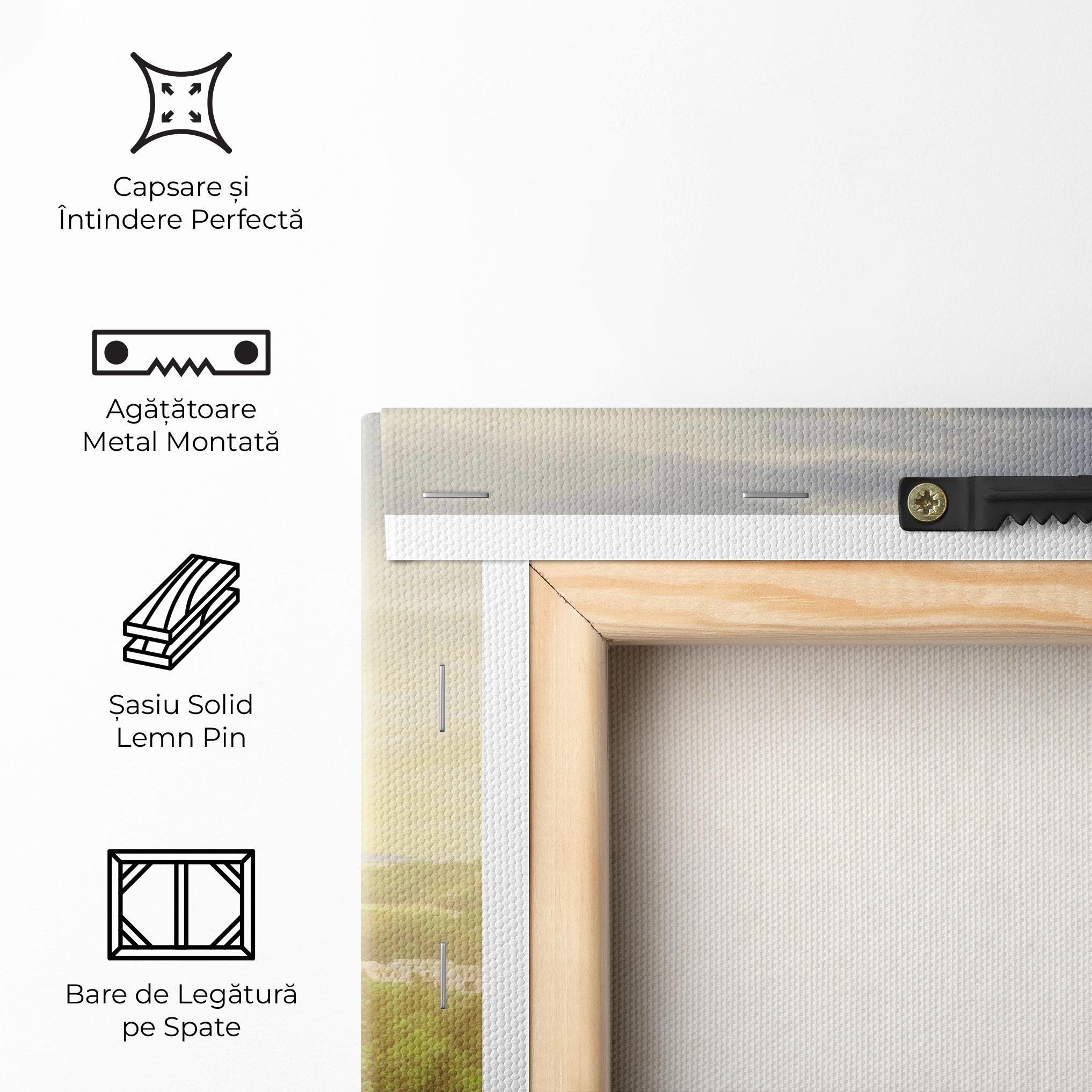 Tablou Canvas Carcassonne France mockup 5