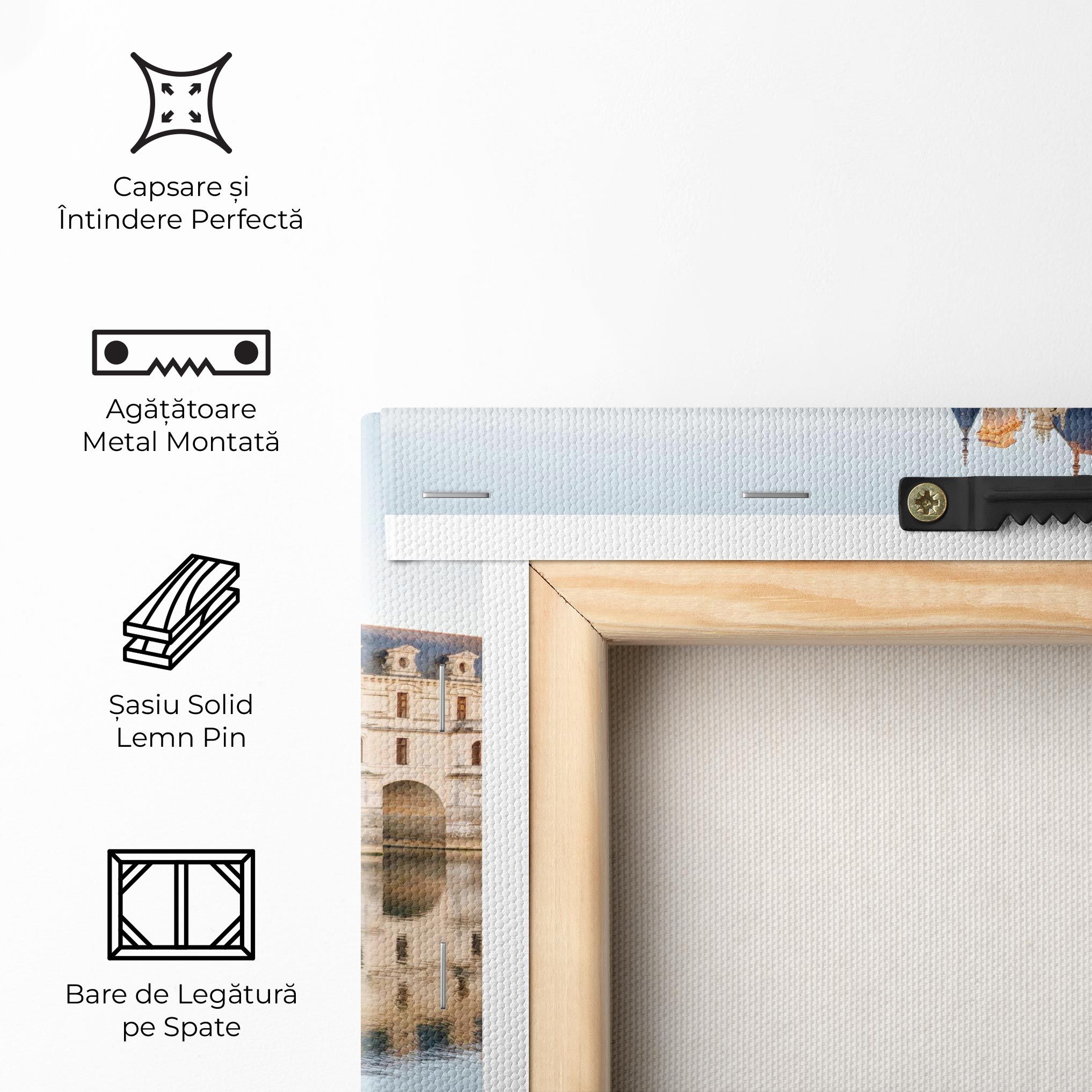 Chateau Chenonceau Castle mockup 5