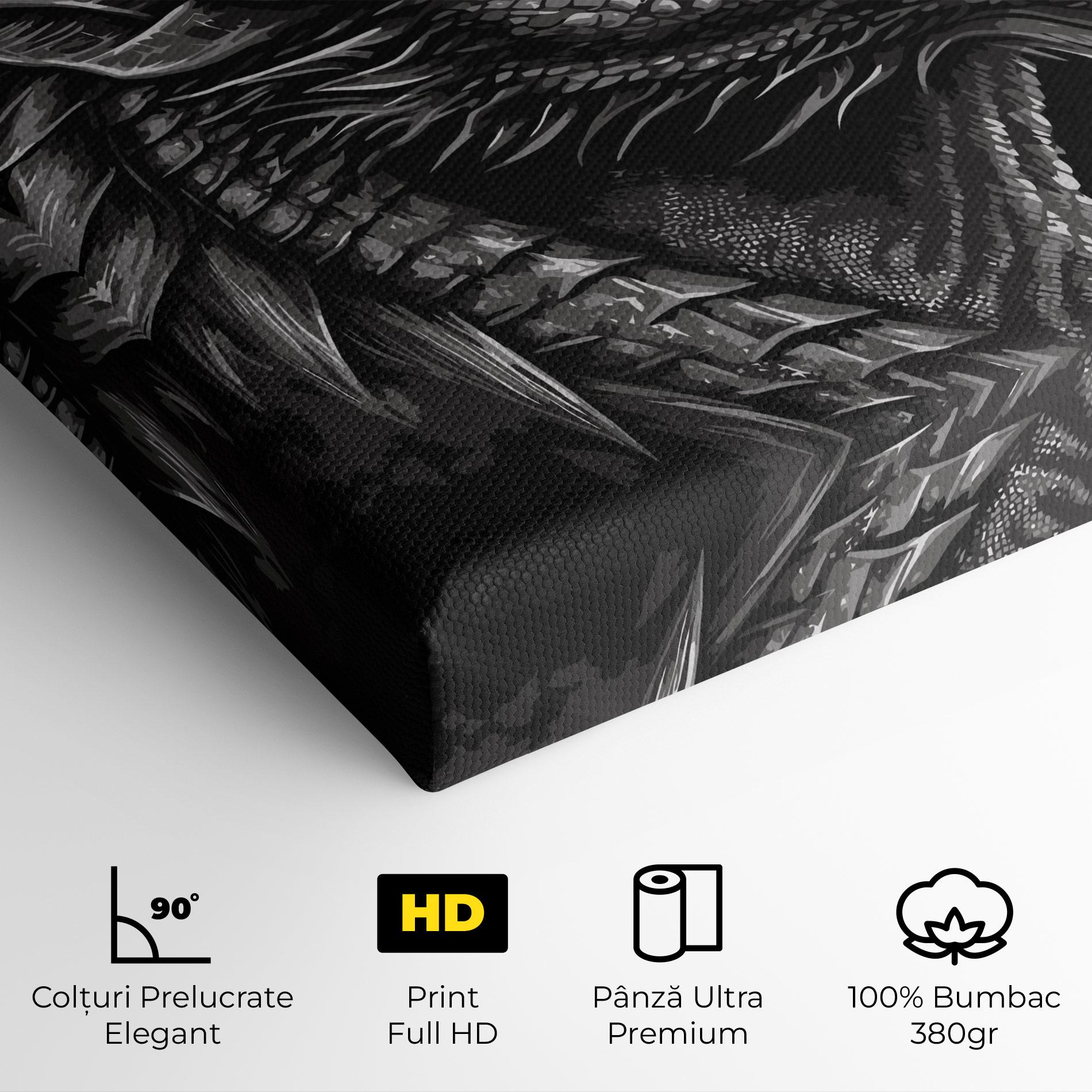 Tablou Canvas Grey Dragon mockup 4