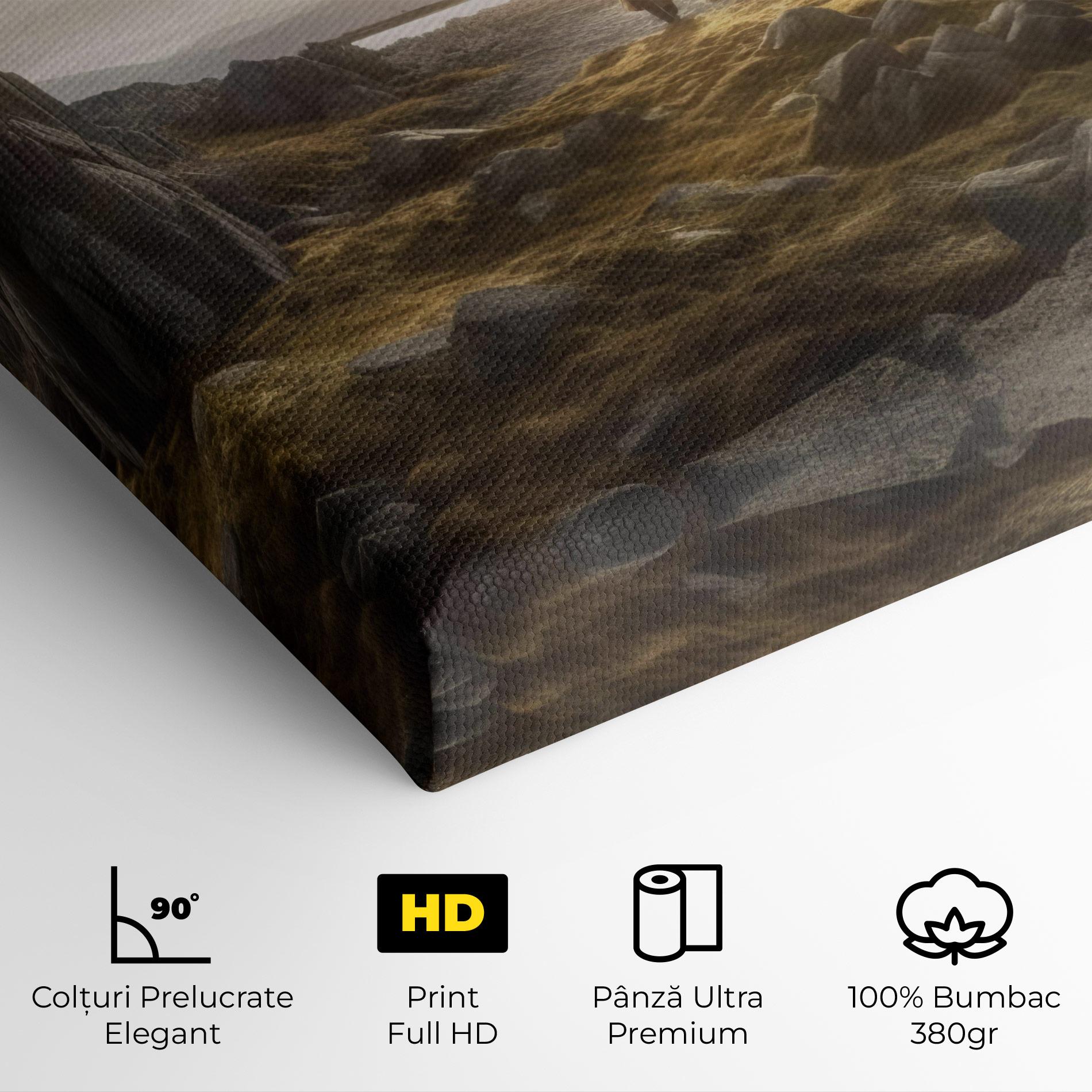 Tablou Canvas Rocky Area Man mockup 4