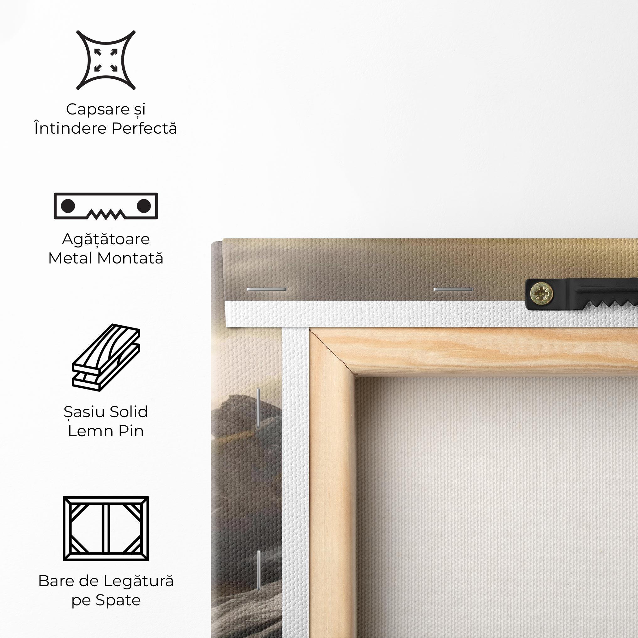 Tablou Canvas Rocky Area Man mockup 5