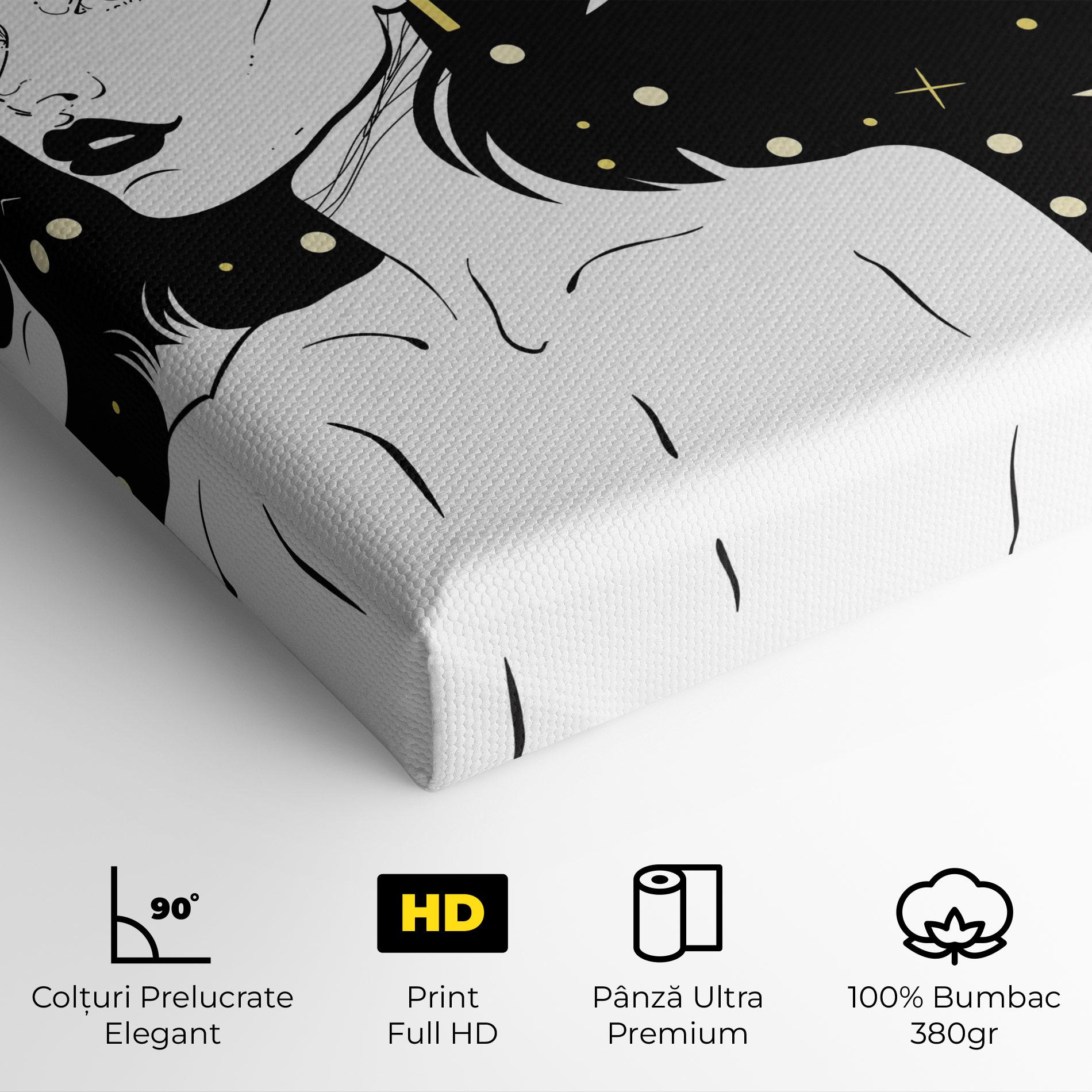 Tablou Canvas Night Witch mockup 4