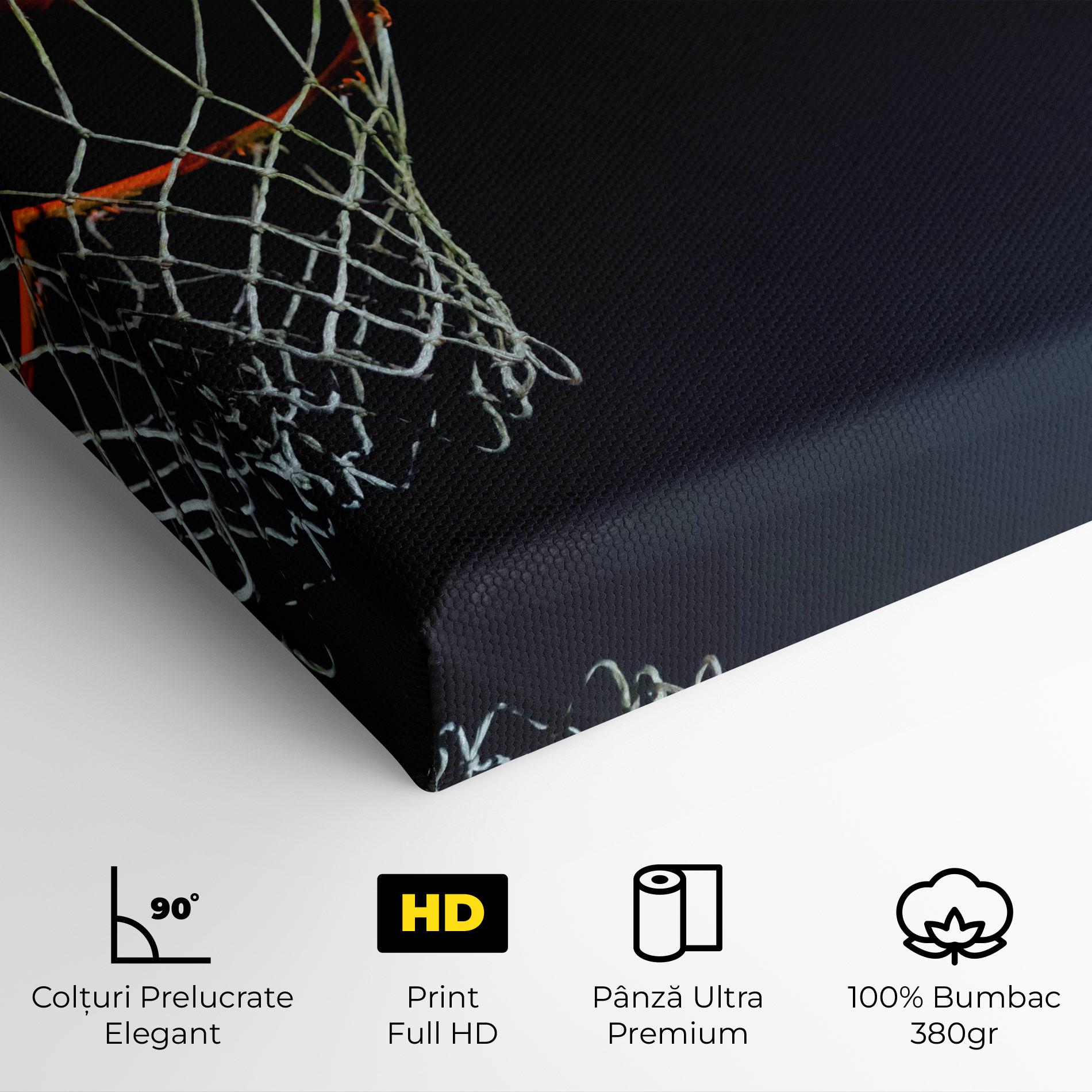 Tablou Canvas Basketball Hoop On Black mockup 4