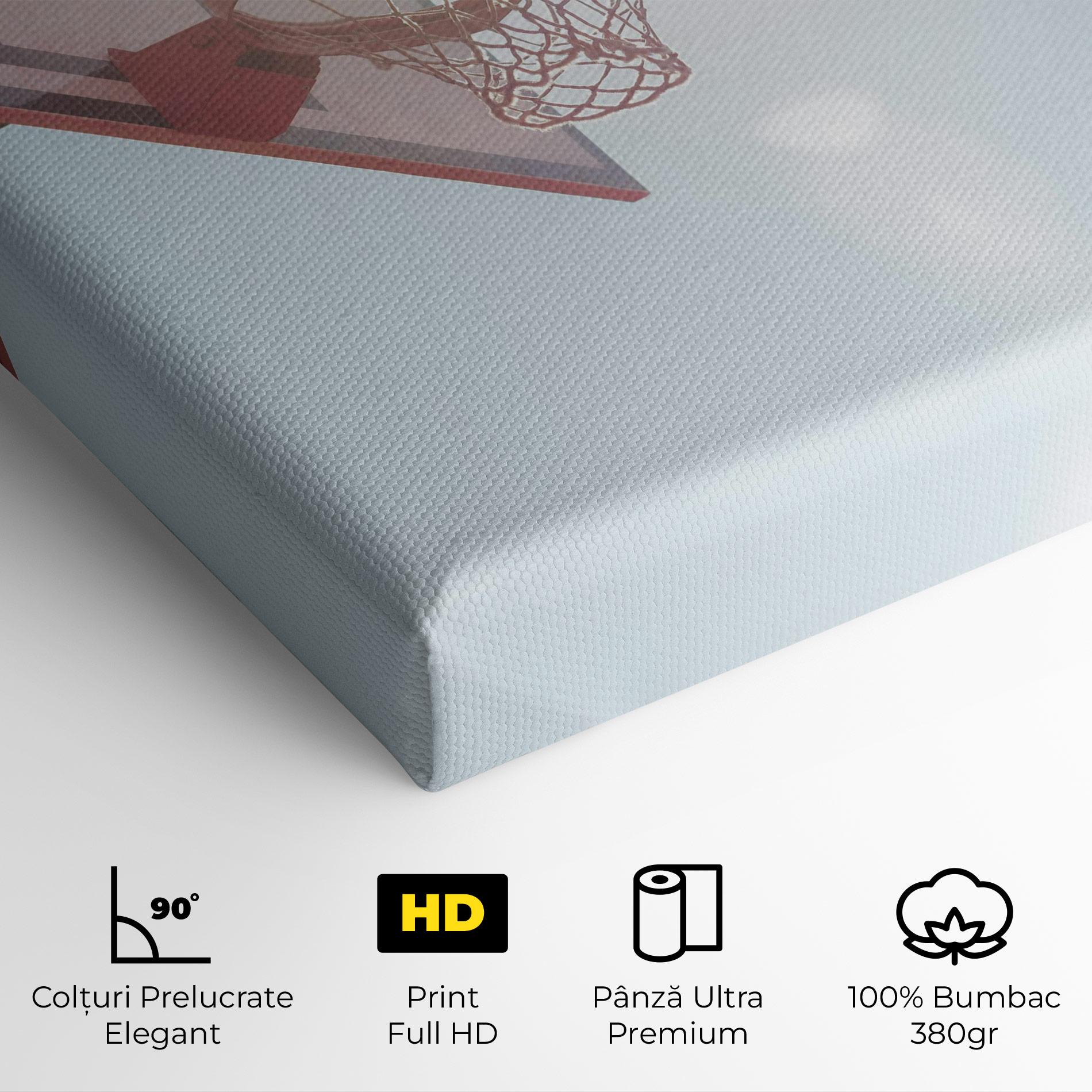 Tablou Canvas Basketball Hoop mockup 4