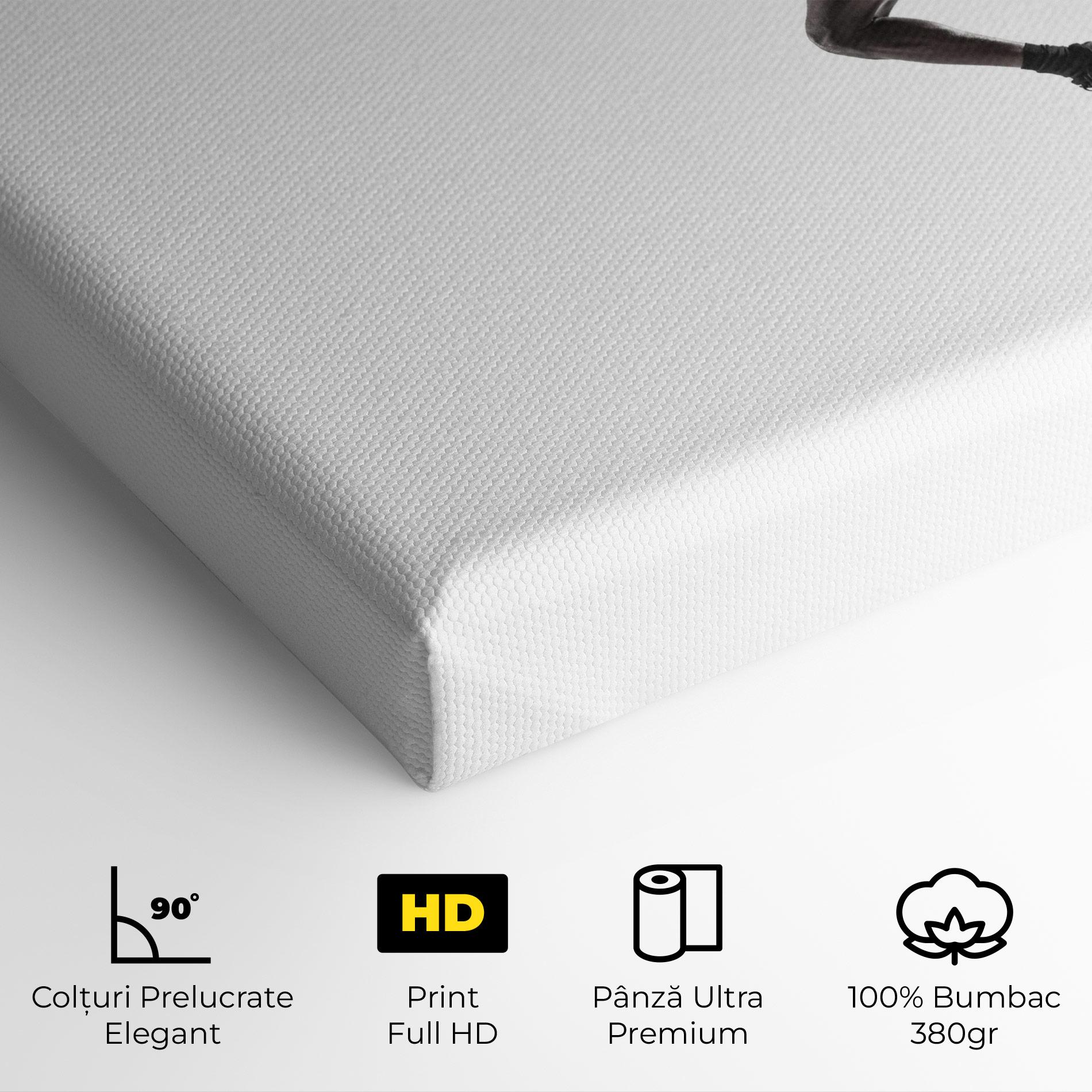 Tablou Canvas Basketball Player Flying mockup 4