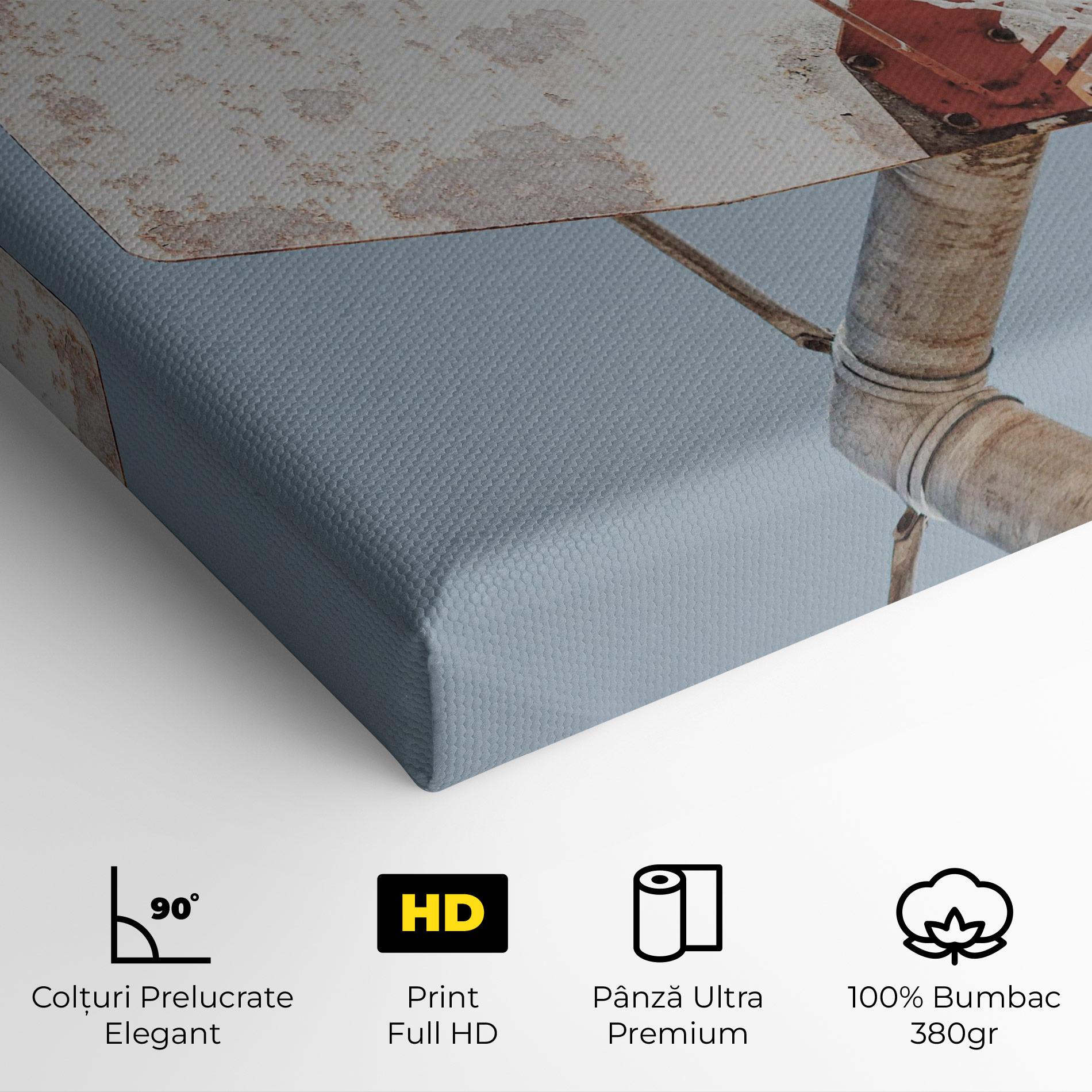 Tablou Canvas Old Basketball Hoop mockup 4