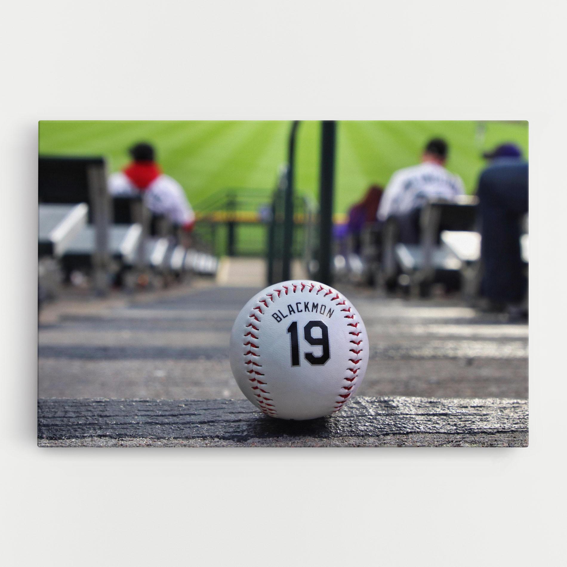 Tablou Canvas Baseball Nr 19 mockup 0