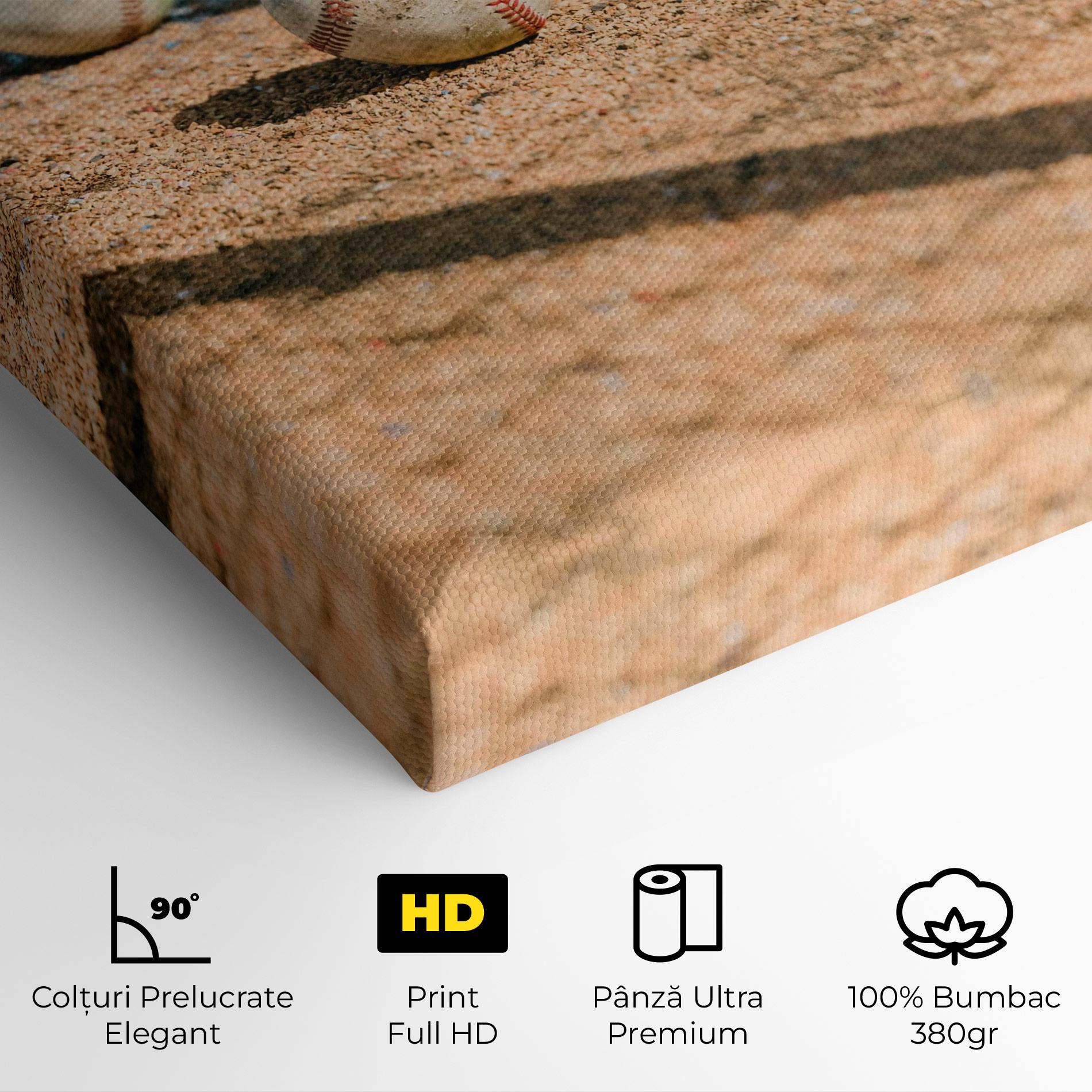 Tablou Canvas Baseball Balls mockup 4