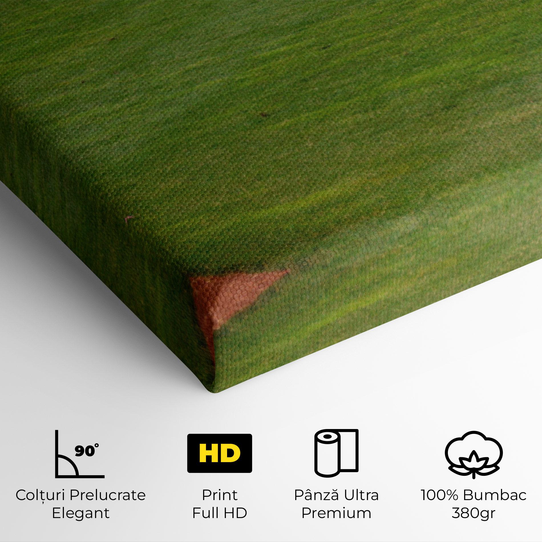 Tablou Canvas Baseball Player mockup 4