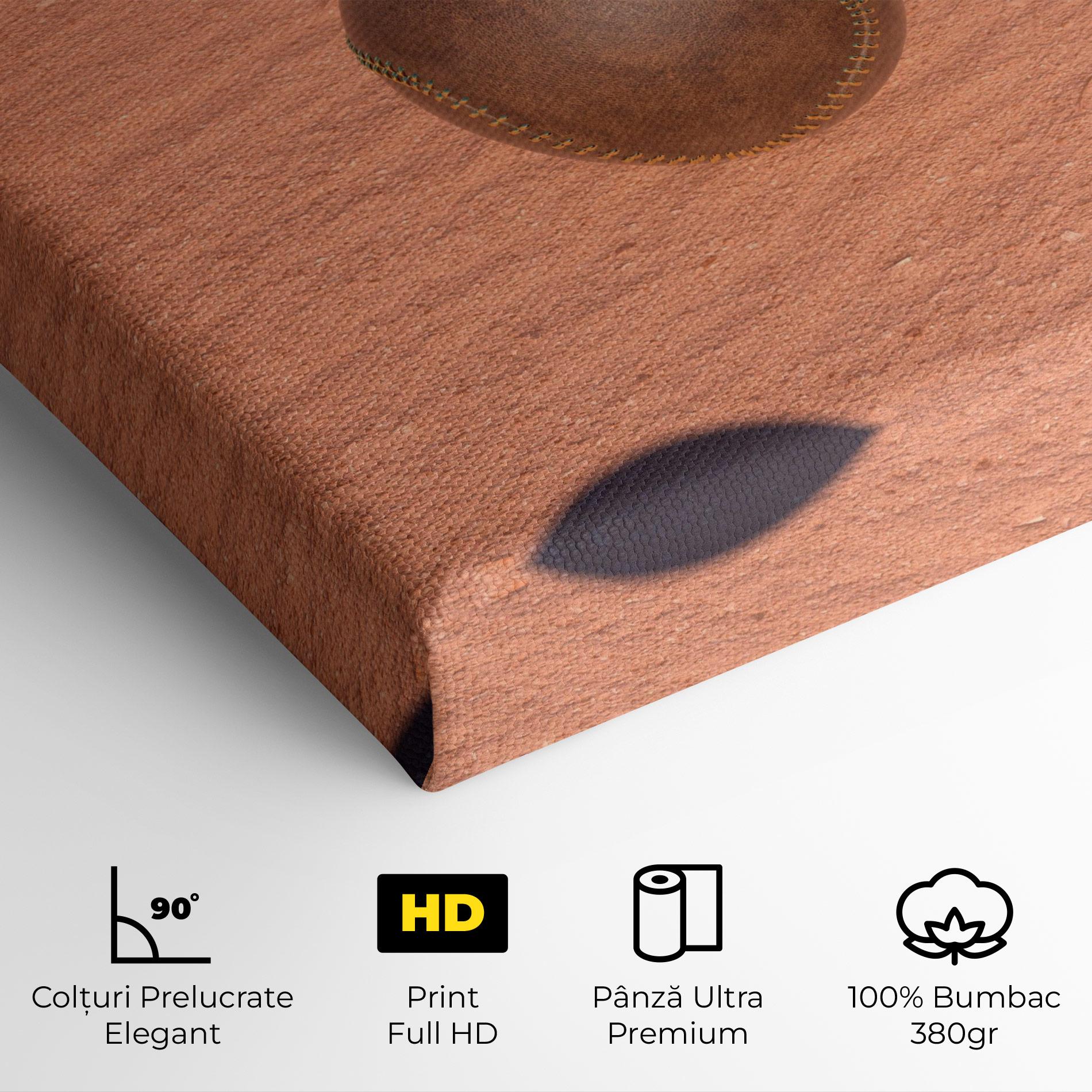 Tablou Canvas Baseball Set On Send mockup 4