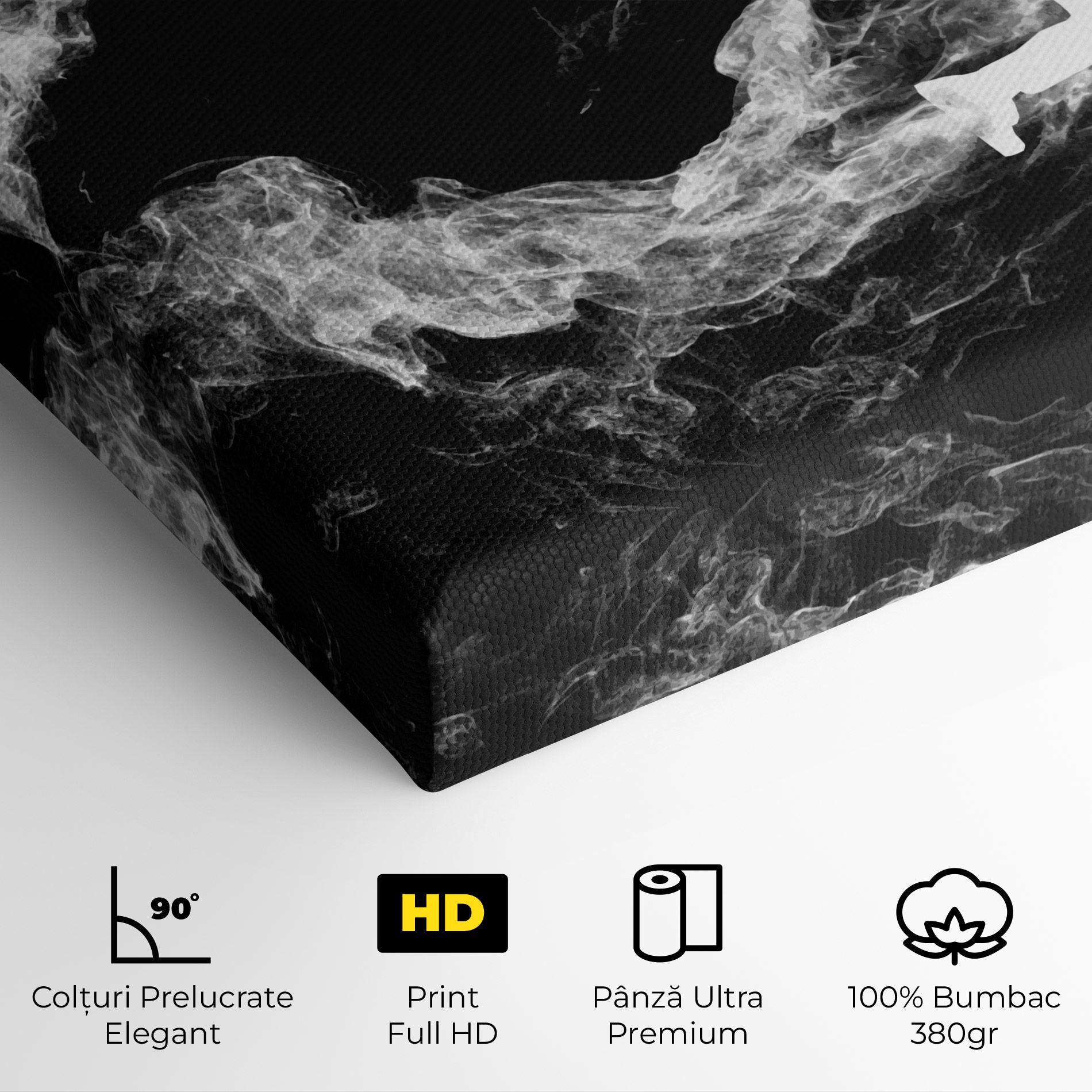 Tablou Canvas Baseball Smoke mockup 4