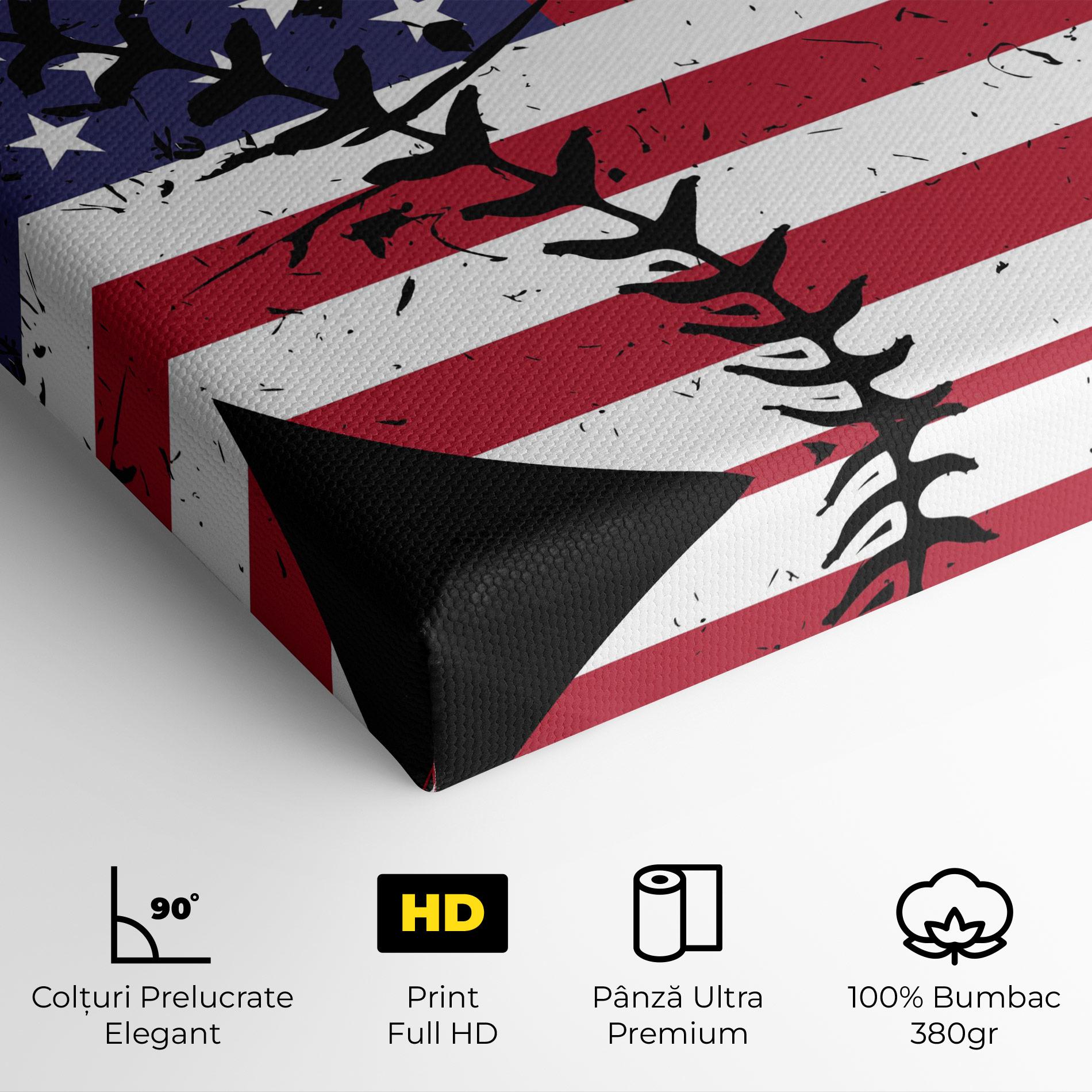 Tablou Canvas Baseball Usa mockup 4