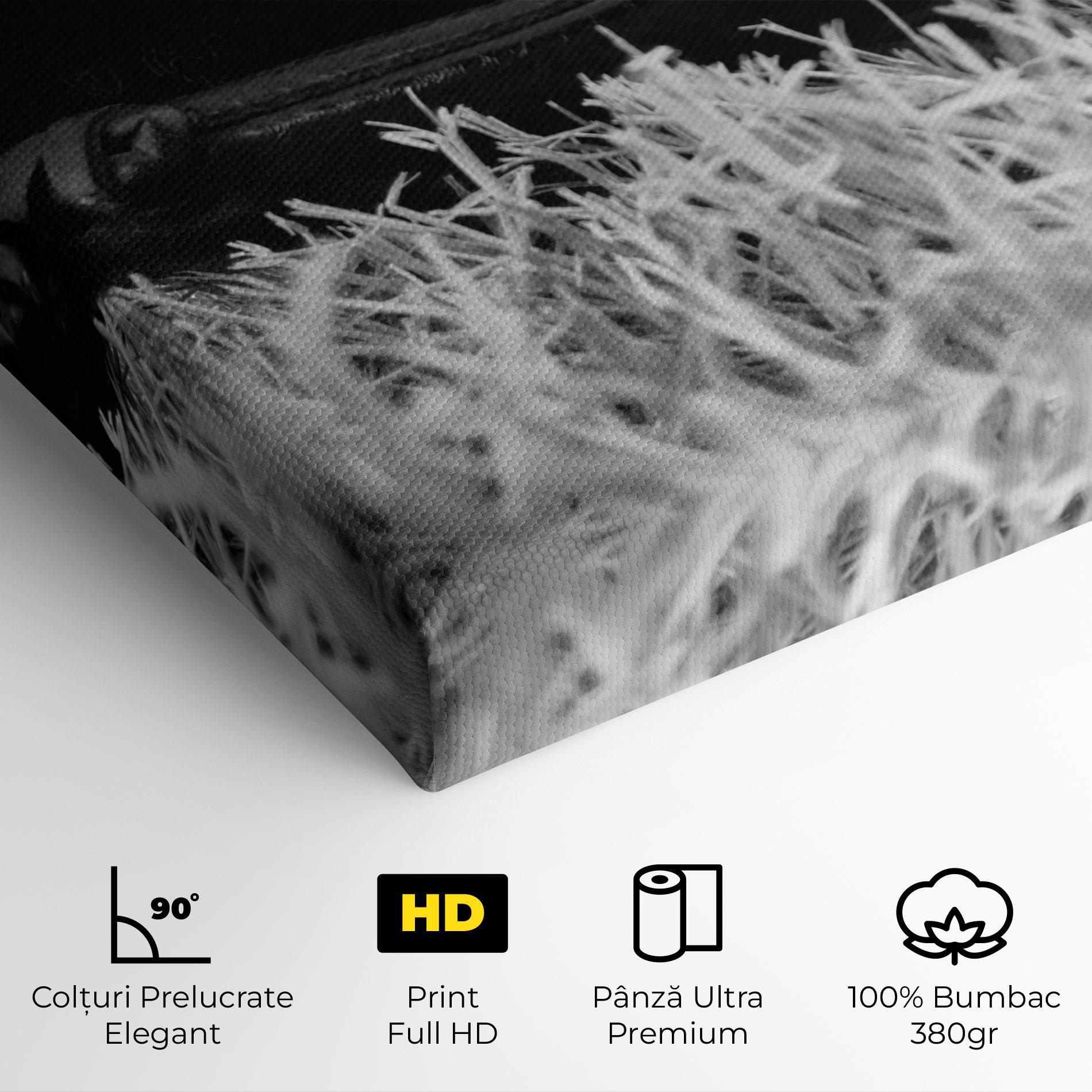 Tablou Canvas Black Baseball Glove mockup 4