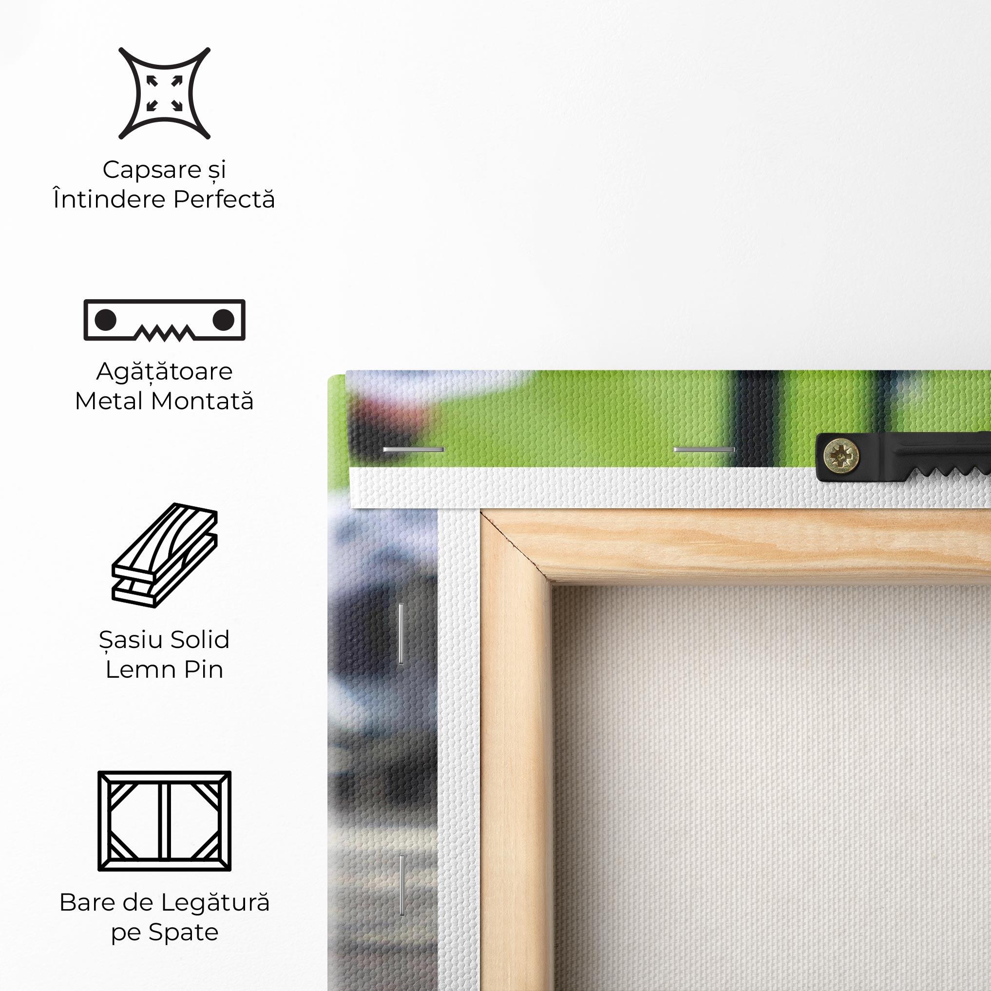 Tablou Canvas Baseball Nr 19 mockup 5