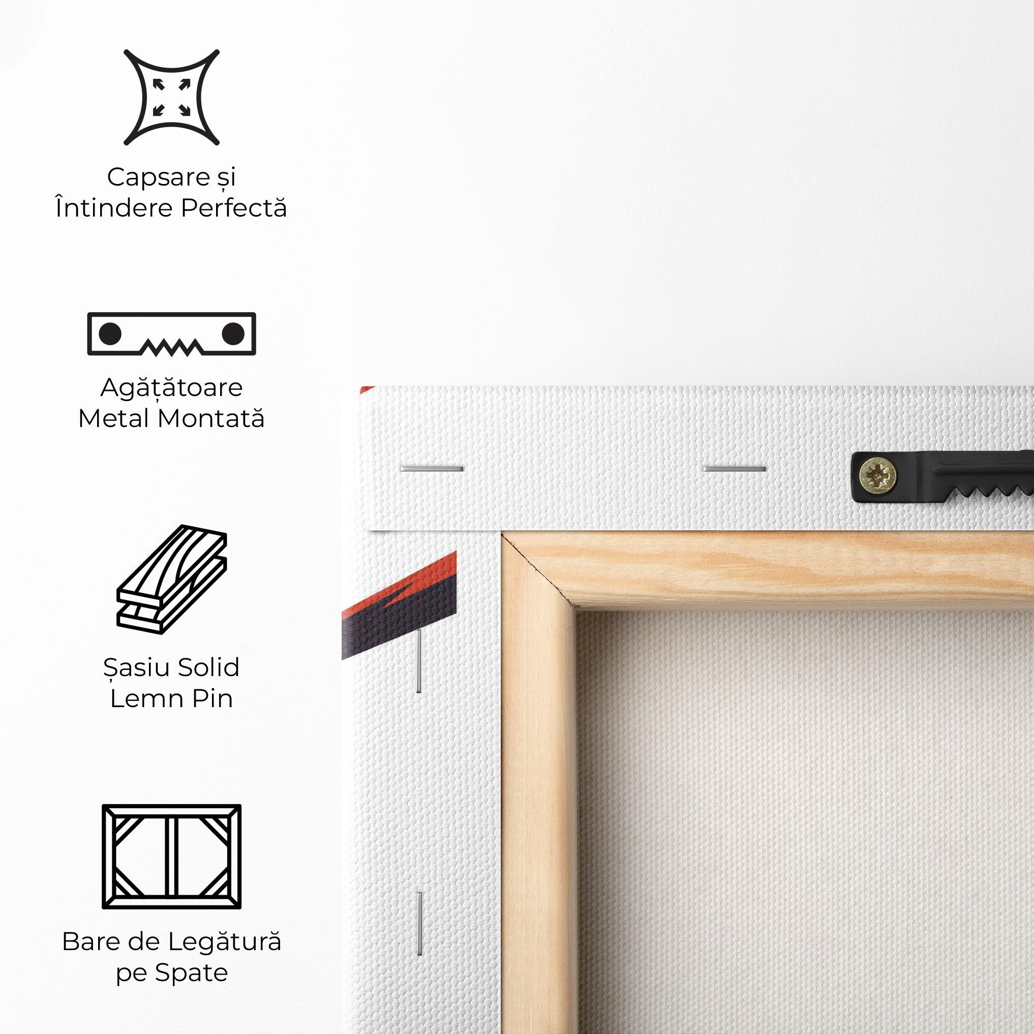 Tablou Canvas Baseball Red Art mockup 5