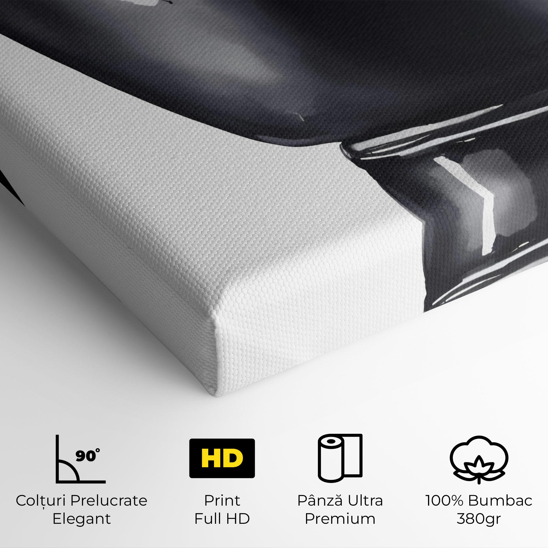 Tablou Canvas Black Box Glove mockup 4