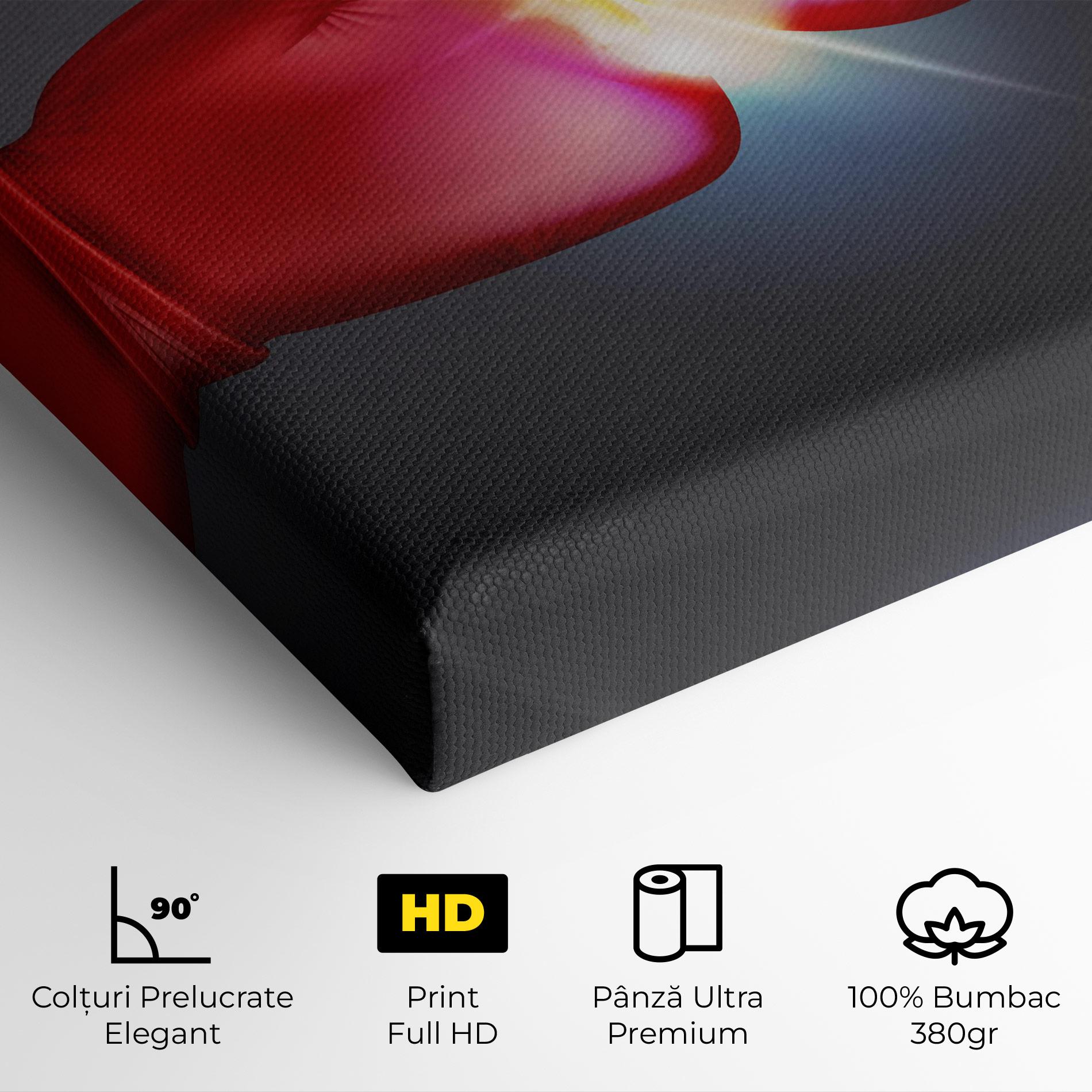 Tablou Canvas Box Explosion mockup 4