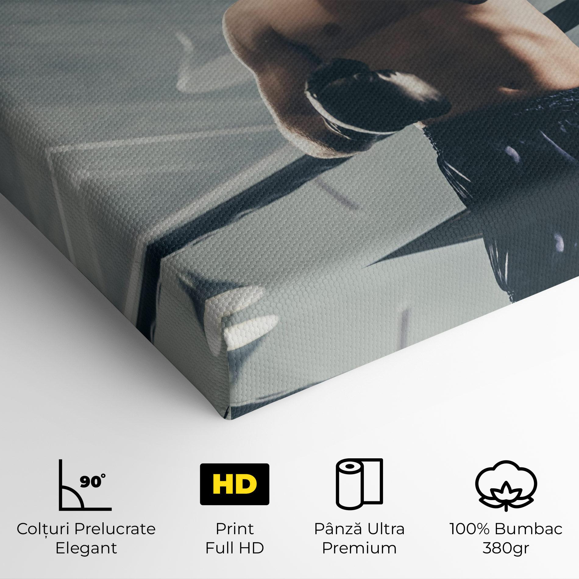 Tablou Canvas Knockout King mockup 4