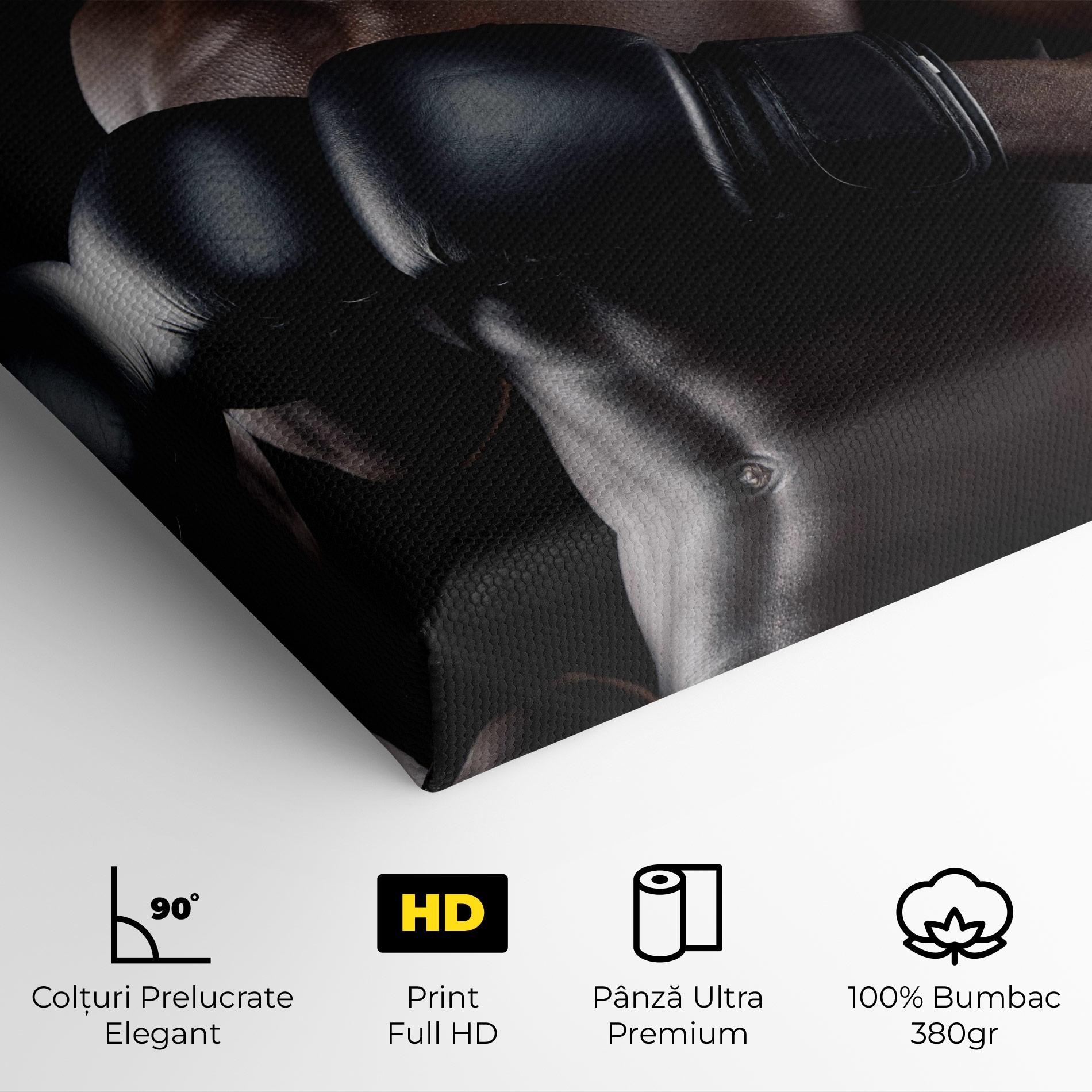 Tablou Canvas Powerful Fighter mockup 4