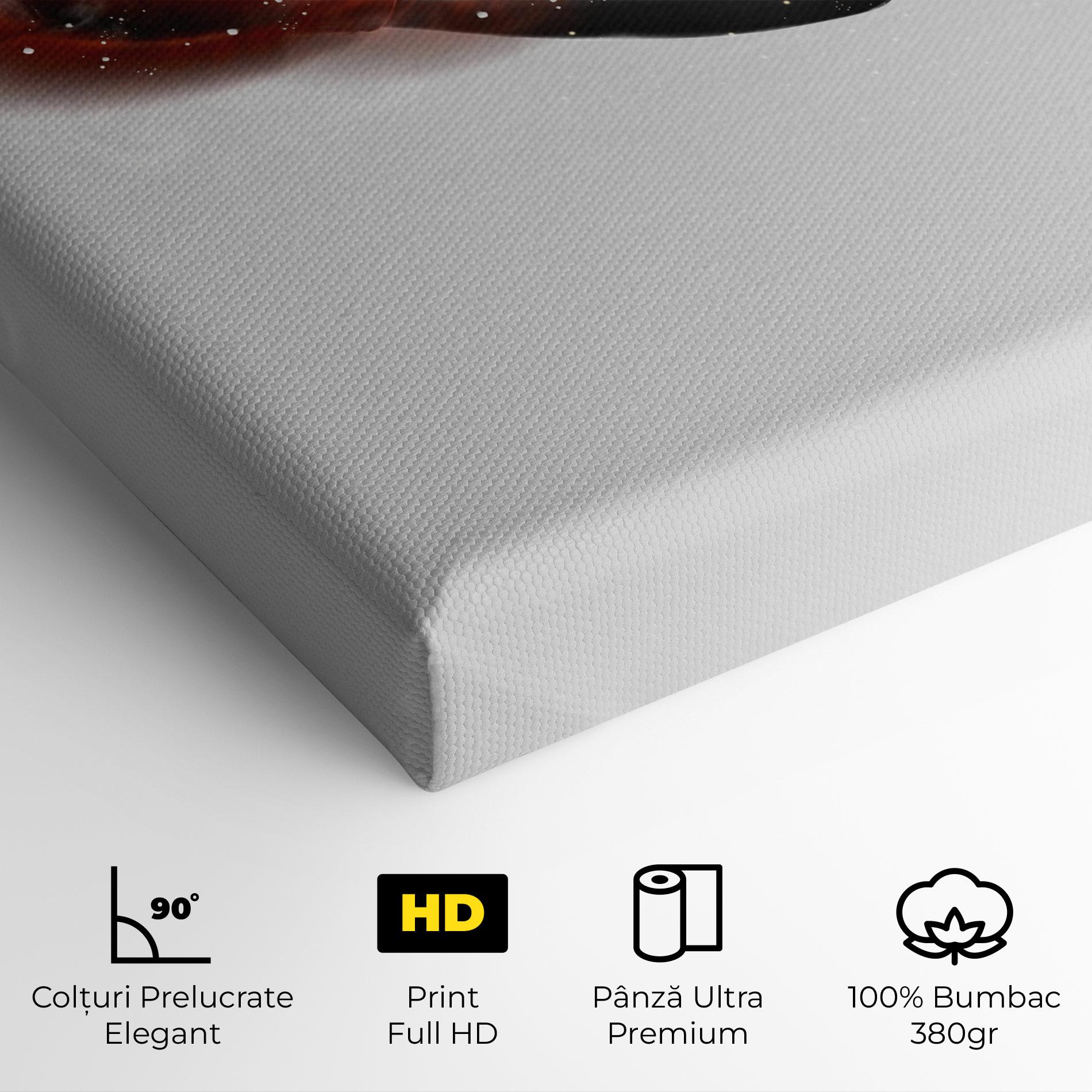 Tablou Canvas Red Smoke Box mockup 4
