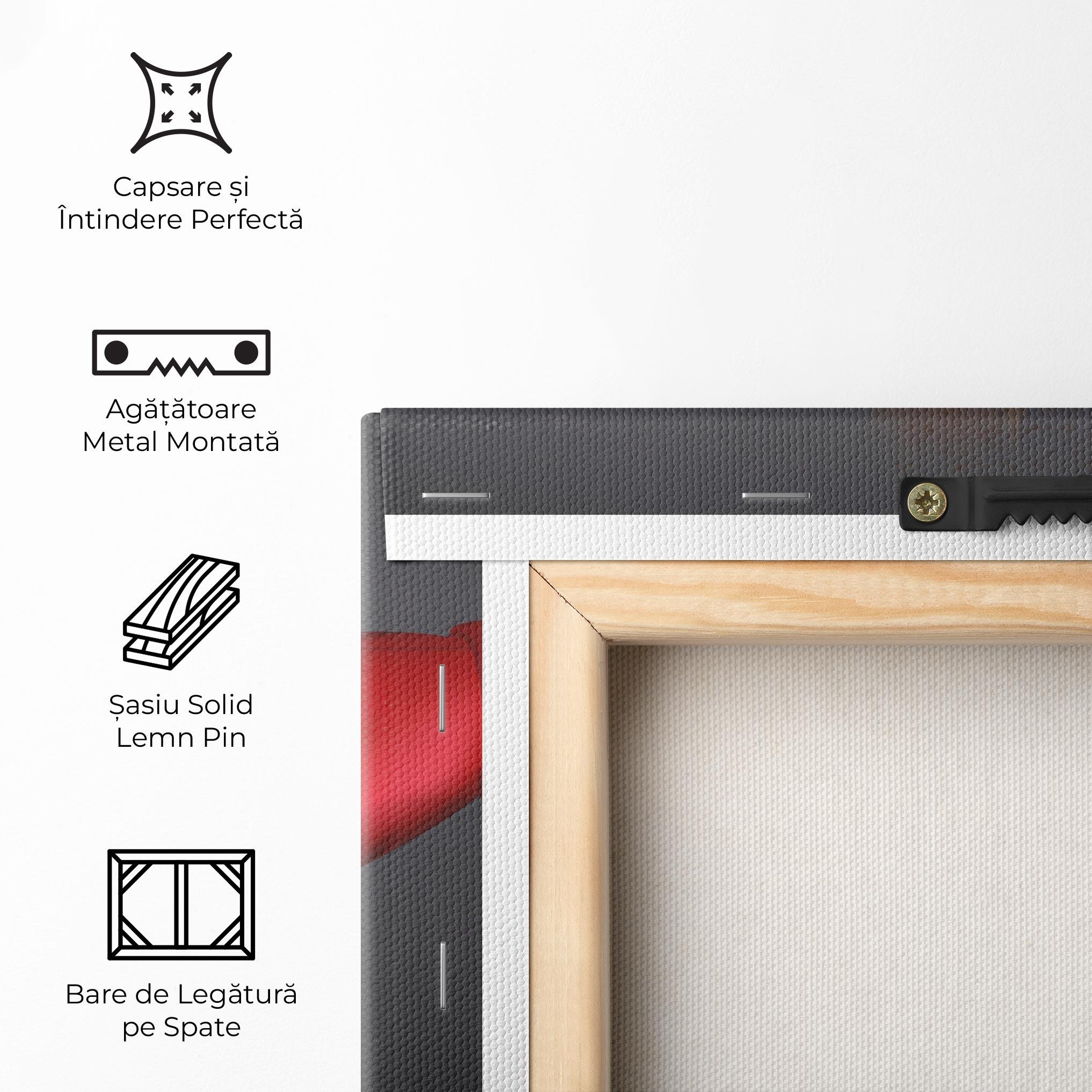 Tablou Canvas Box Explosion mockup 5