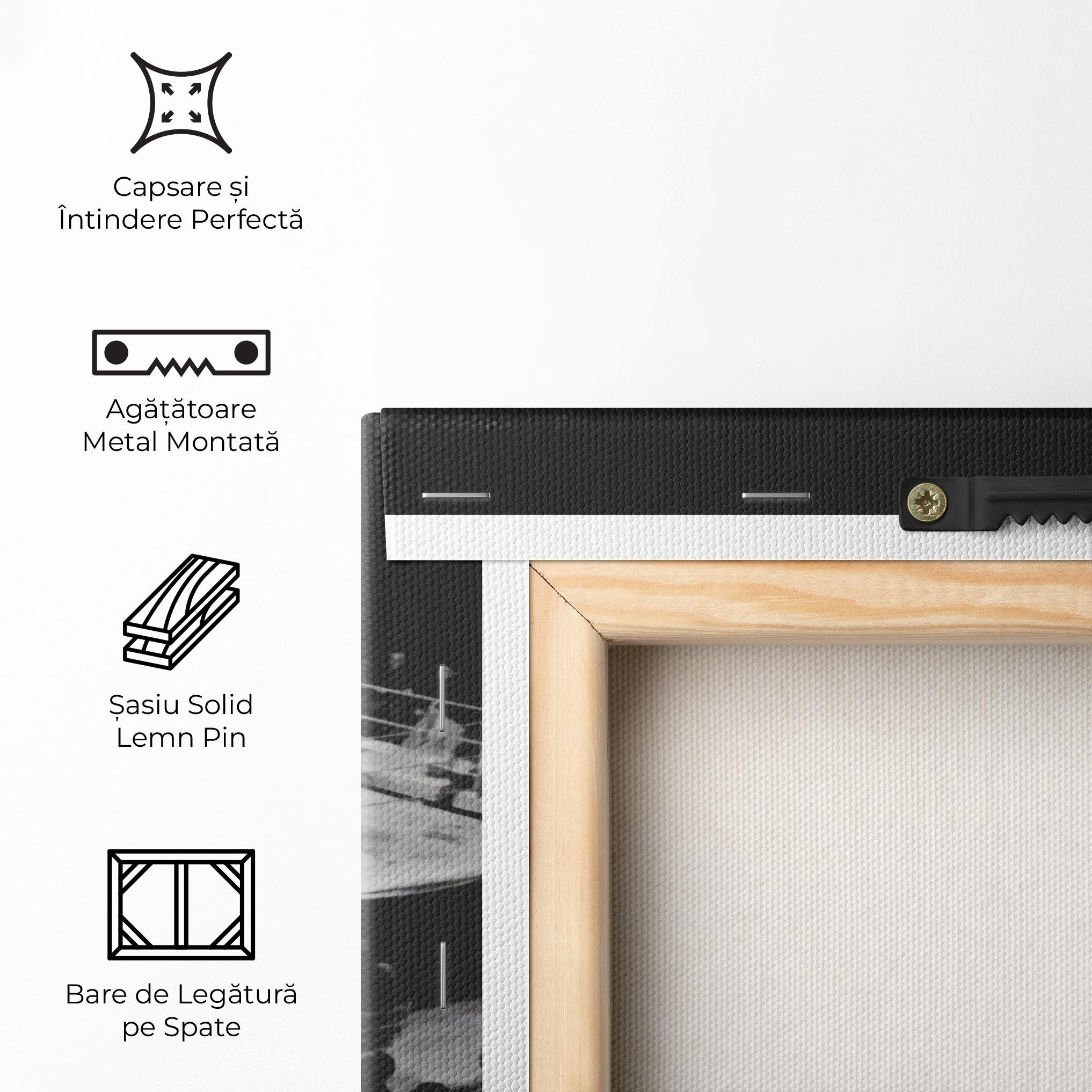 Tablou Canvas Grey Ring mockup 5