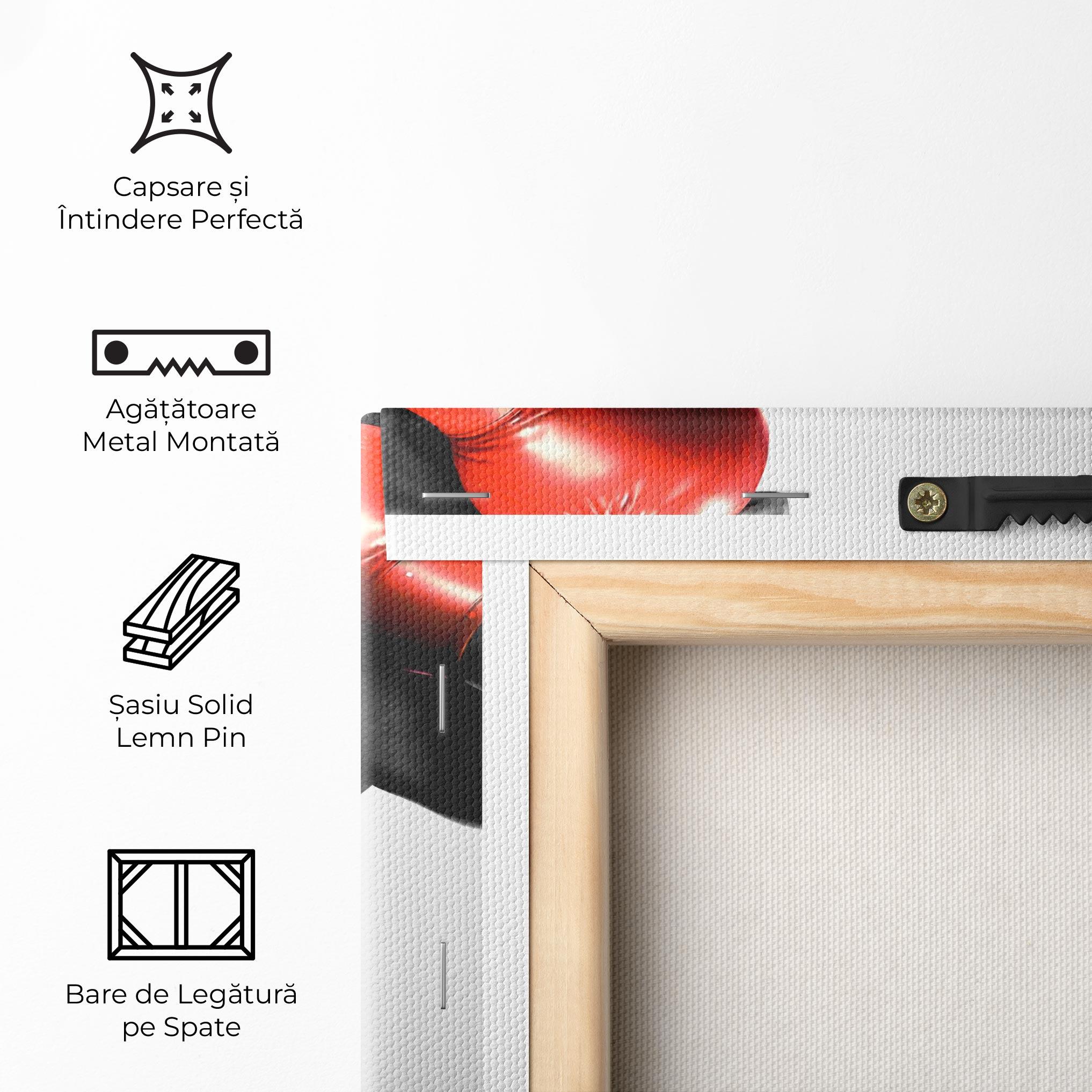 Tablou Canvas Red Smoke Box mockup 5