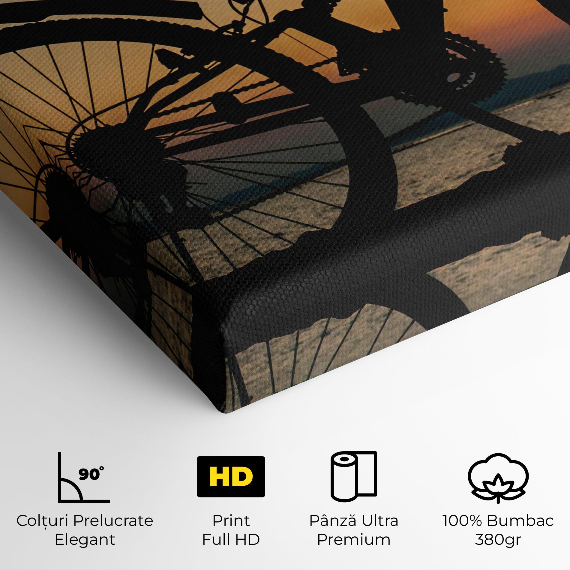 Tablou Canvas Beautiful Mtb Shilouette mockup 4
