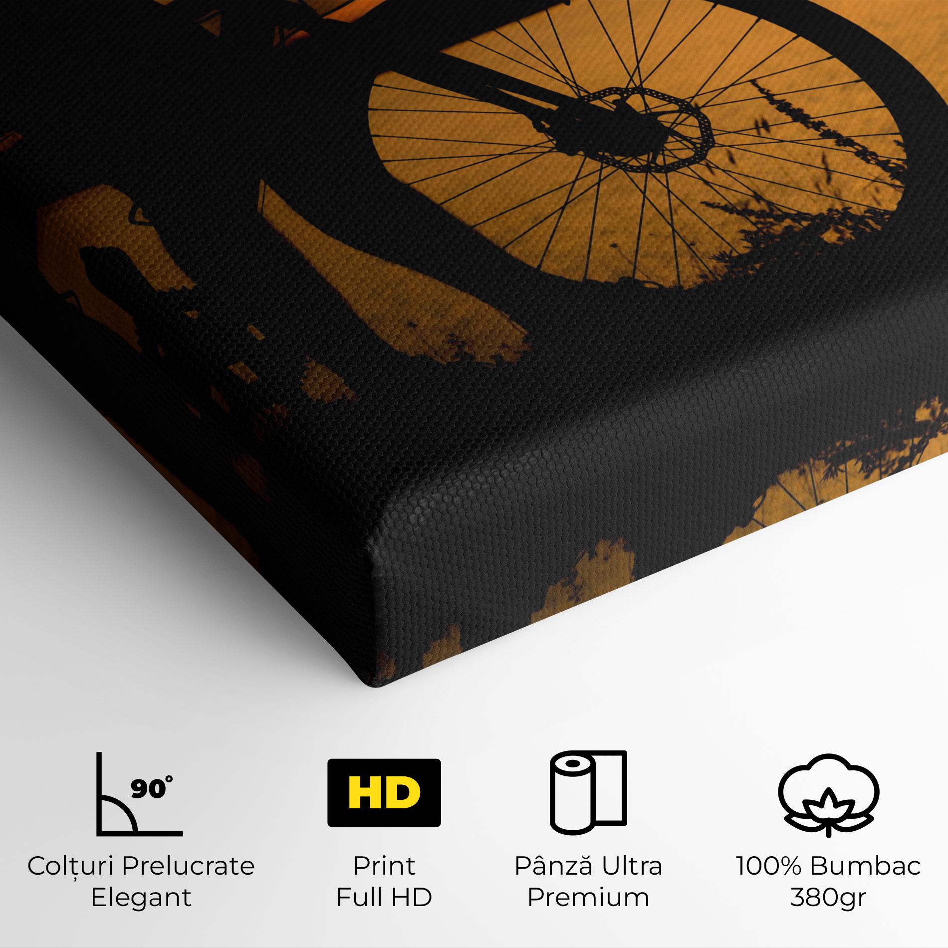 Tablou Canvas Bicycle Sunset Silhouette mockup 4