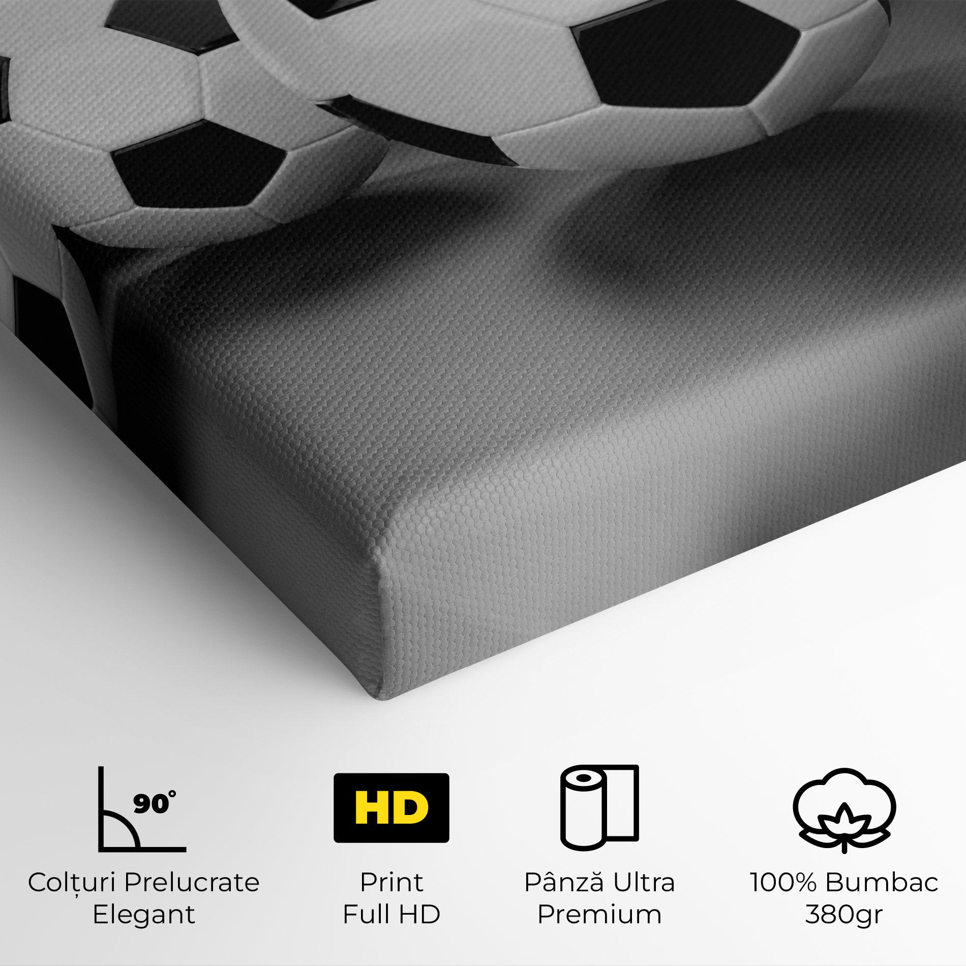 Tablou Canvas Black White Football mockup 4