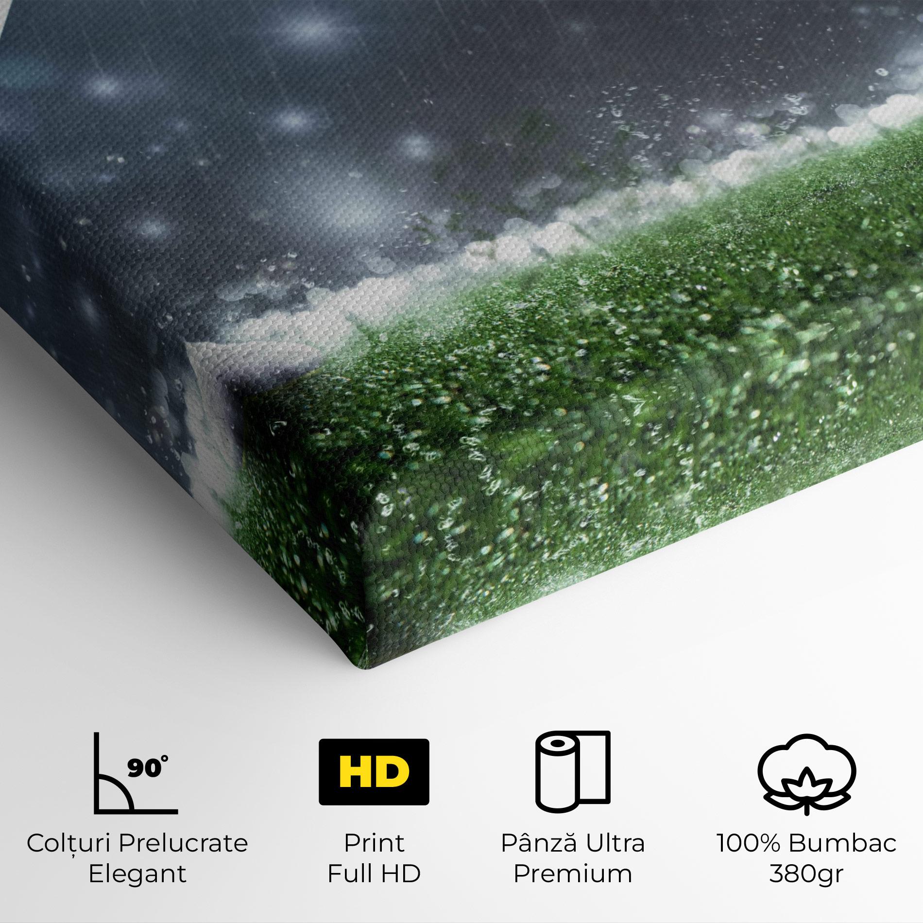 Tablou Canvas Close Up Football Scene mockup 4