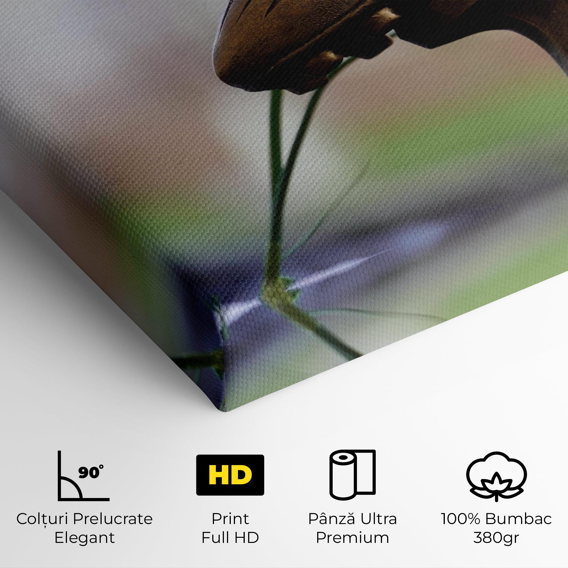 Tablou Canvas Football Award mockup 4