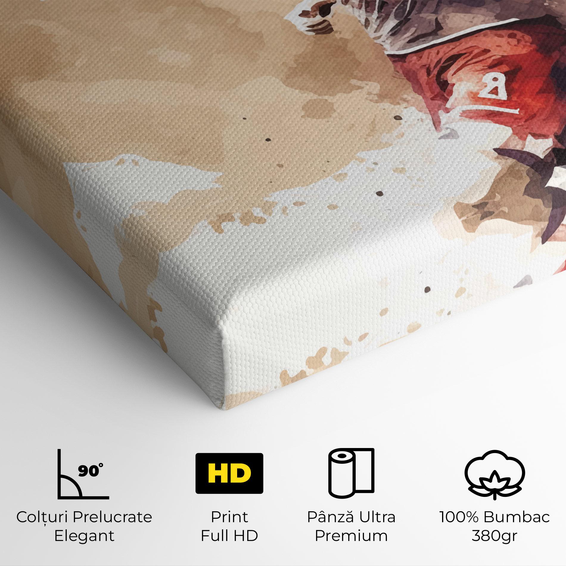 Tablou Canvas Football Red Cream mockup 4