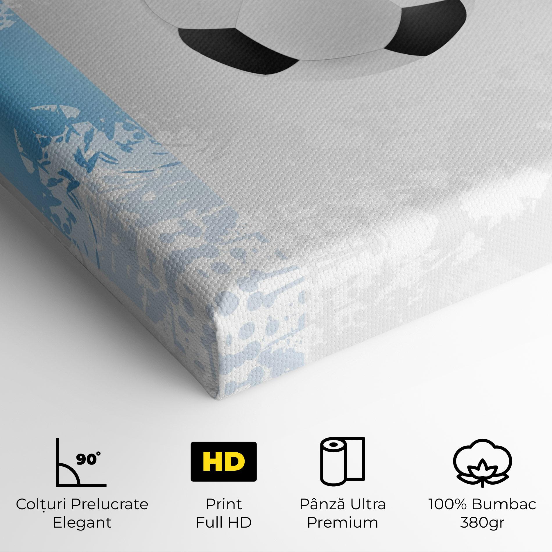 Tablou Canvas France Football mockup 4