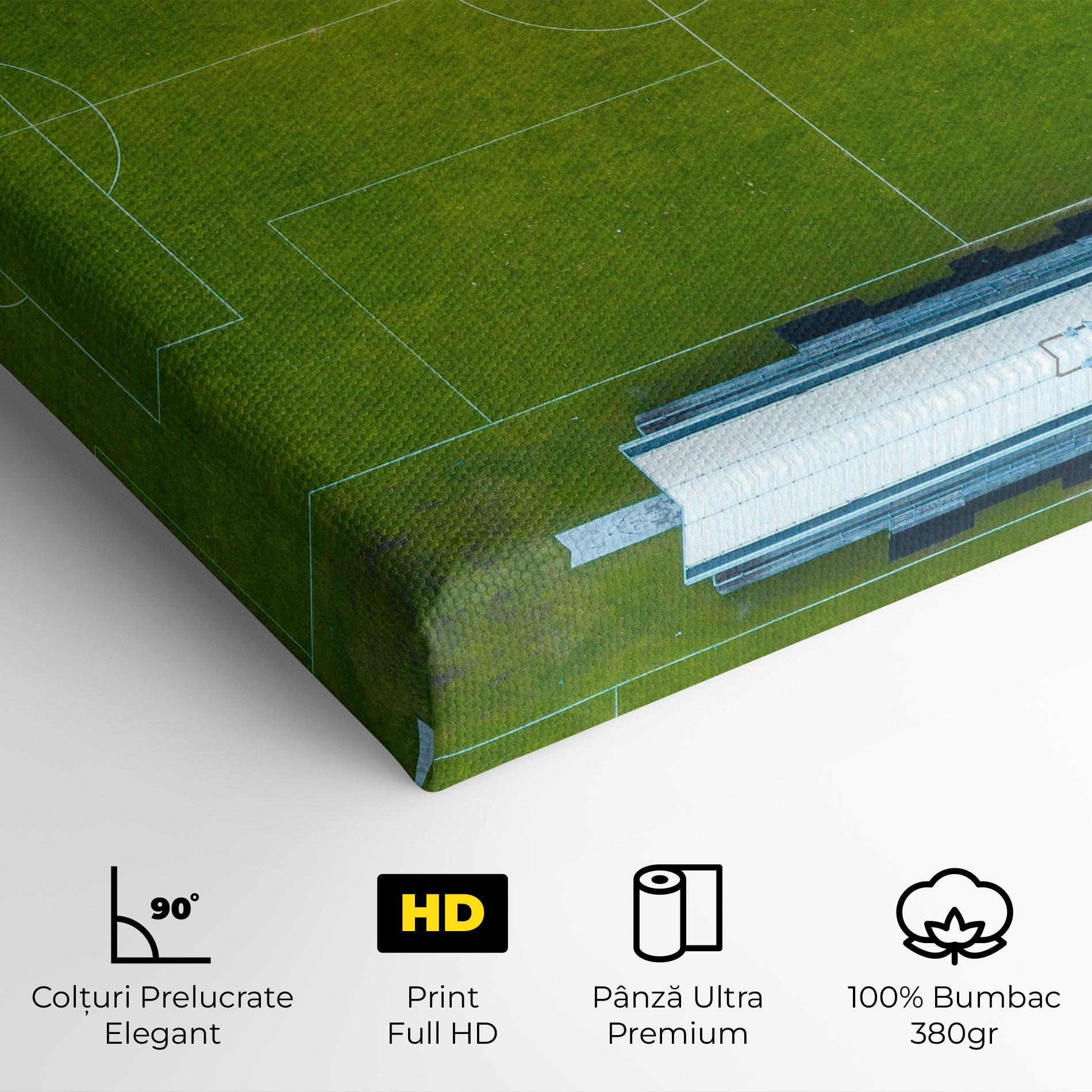 Tablou Canvas Green Football Field mockup 4