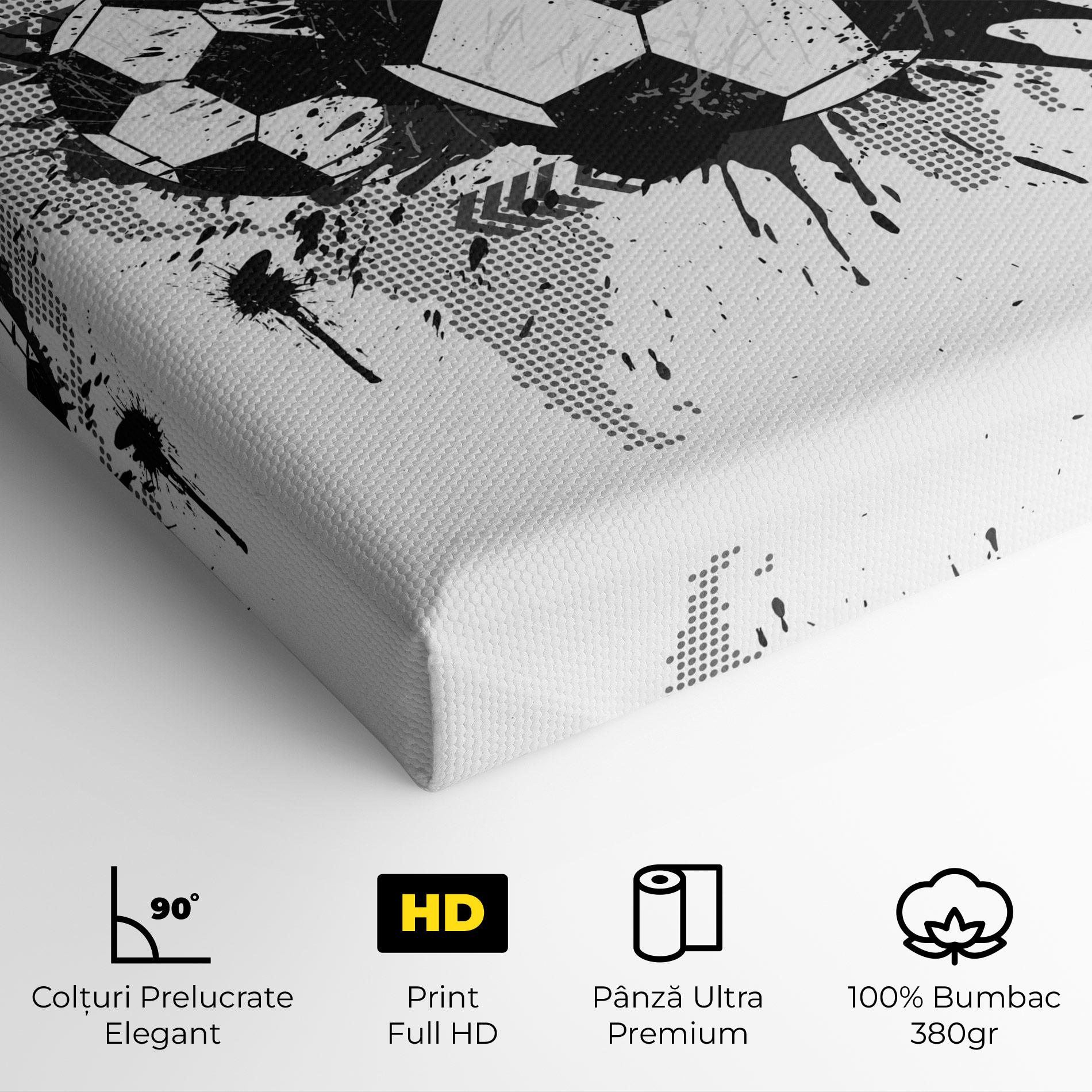 Tablou Canvas Grey Foodball mockup 4