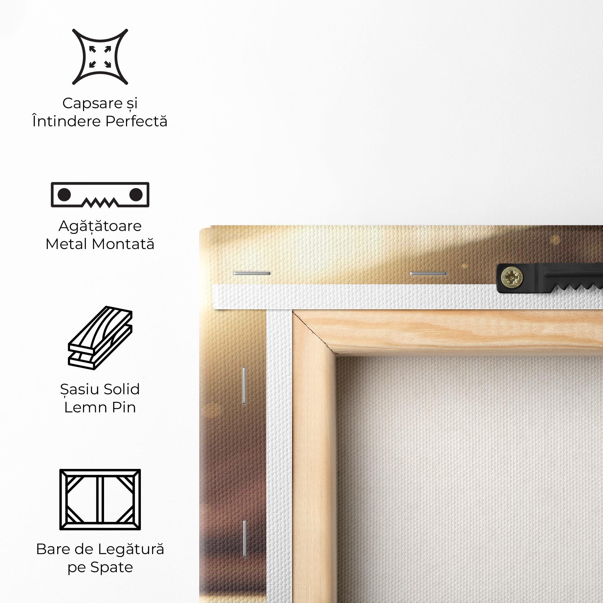 Tablou Canvas Award For Football mockup 5