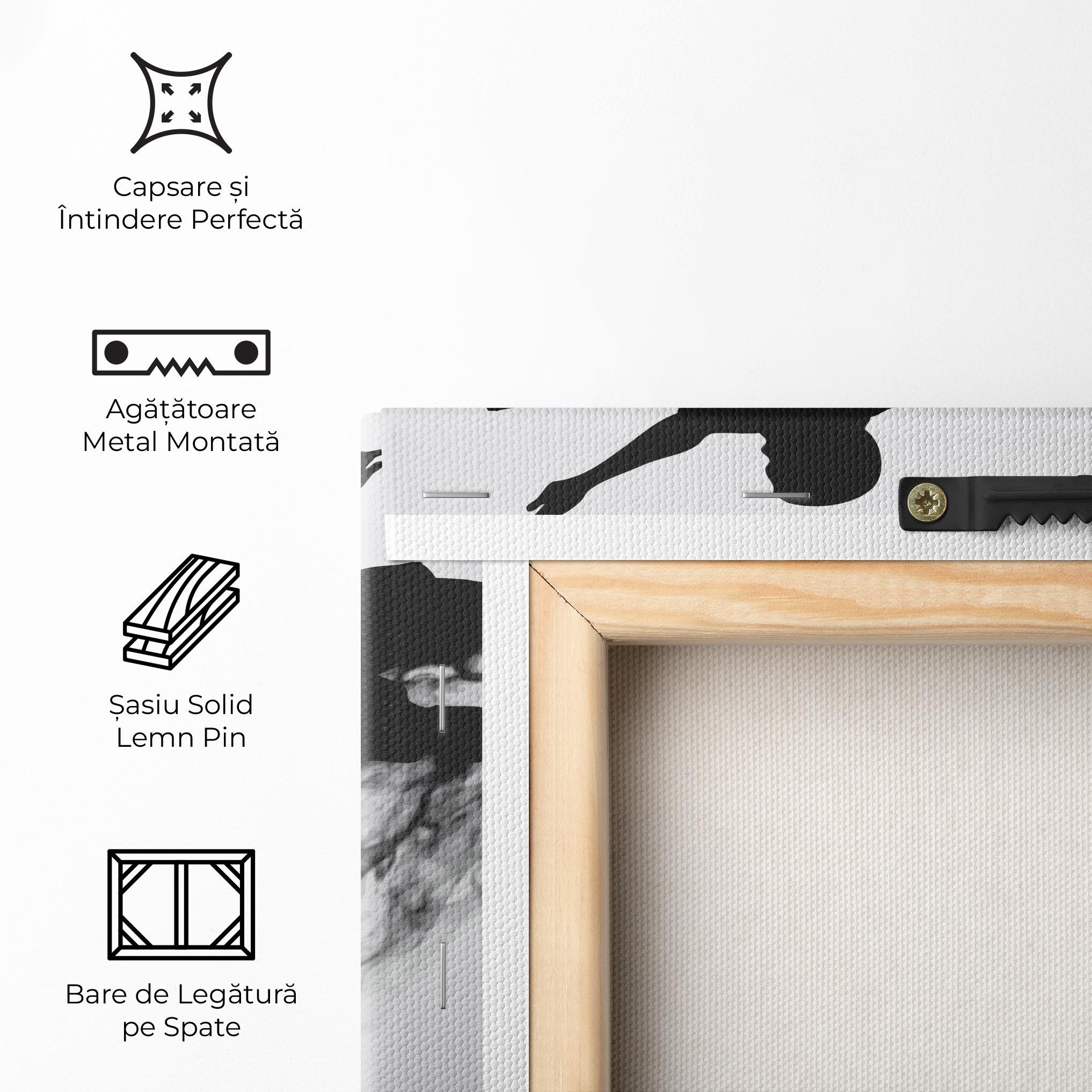 Tablou Canvas Black Smoke Football mockup 5