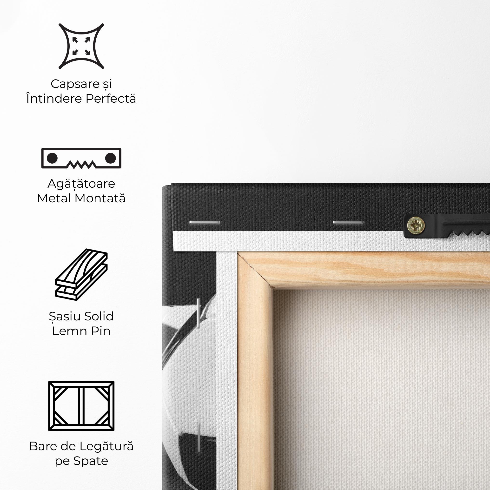 Tablou Canvas Black White Football mockup 5