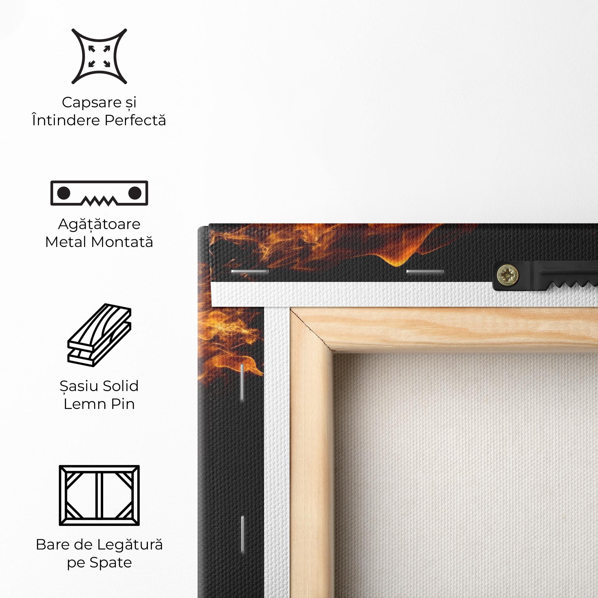 Tablou Canvas Fire Football mockup 5