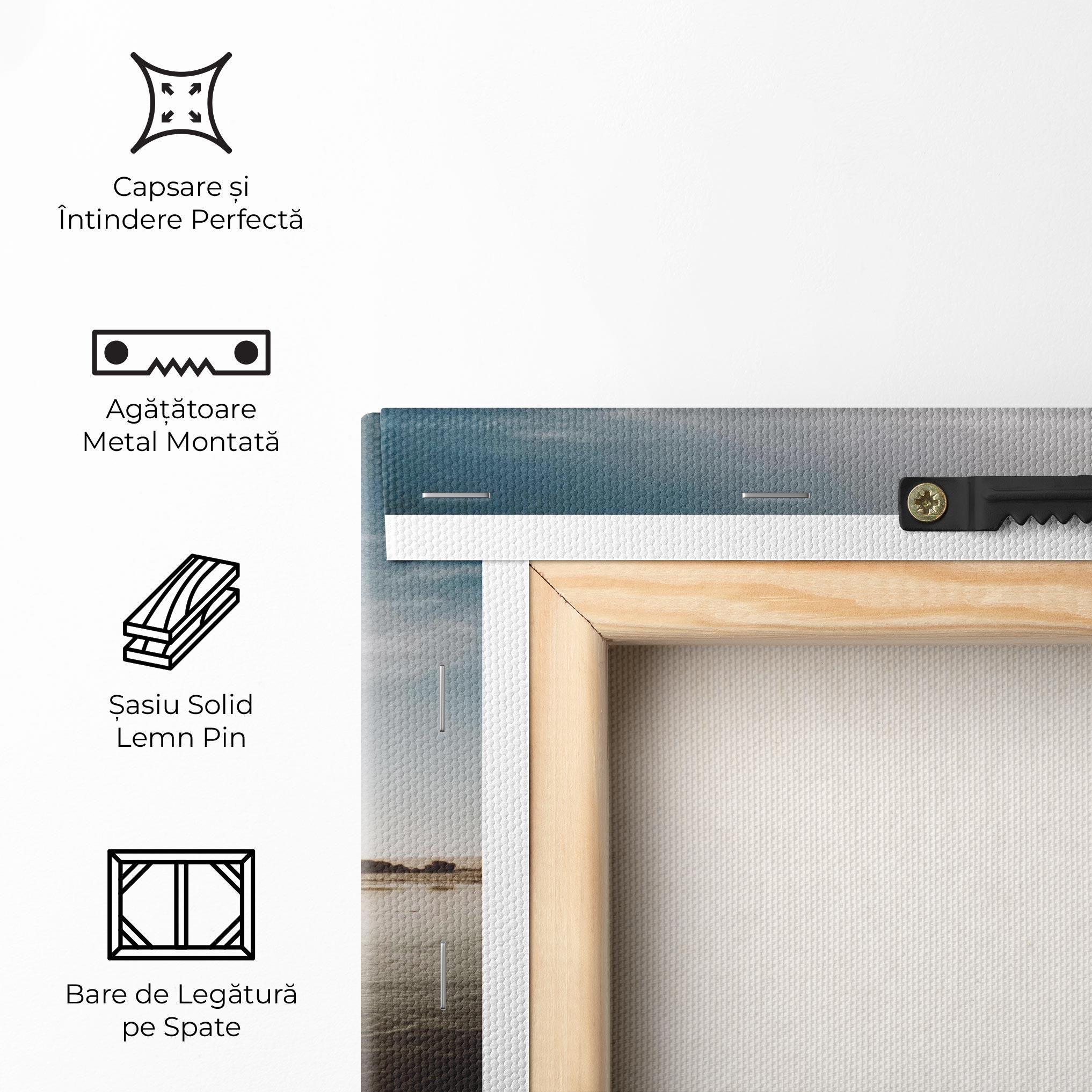 Tablou Canvas Football On Water mockup 5