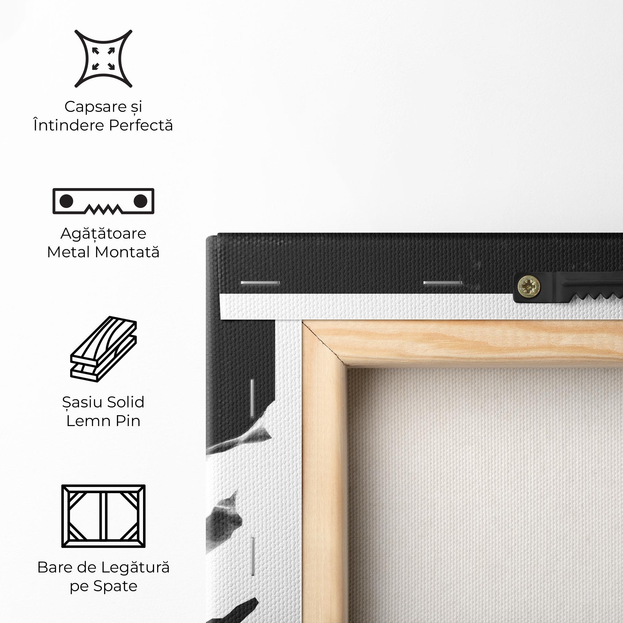 Tablou Canvas Football White Smoke mockup 5