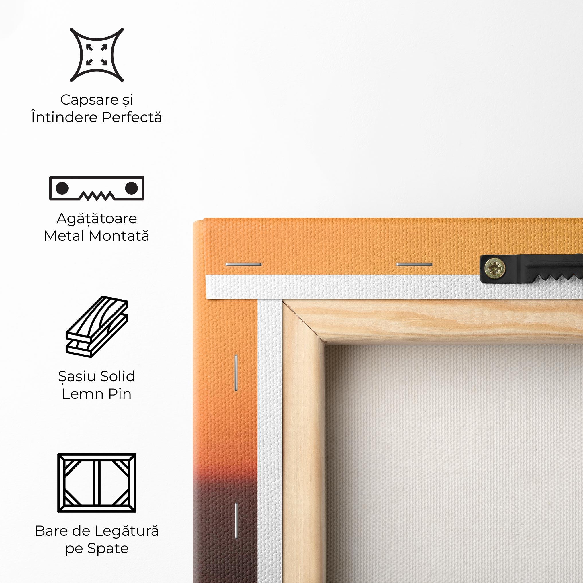 Tablou Canvas Football With The Sun mockup 5