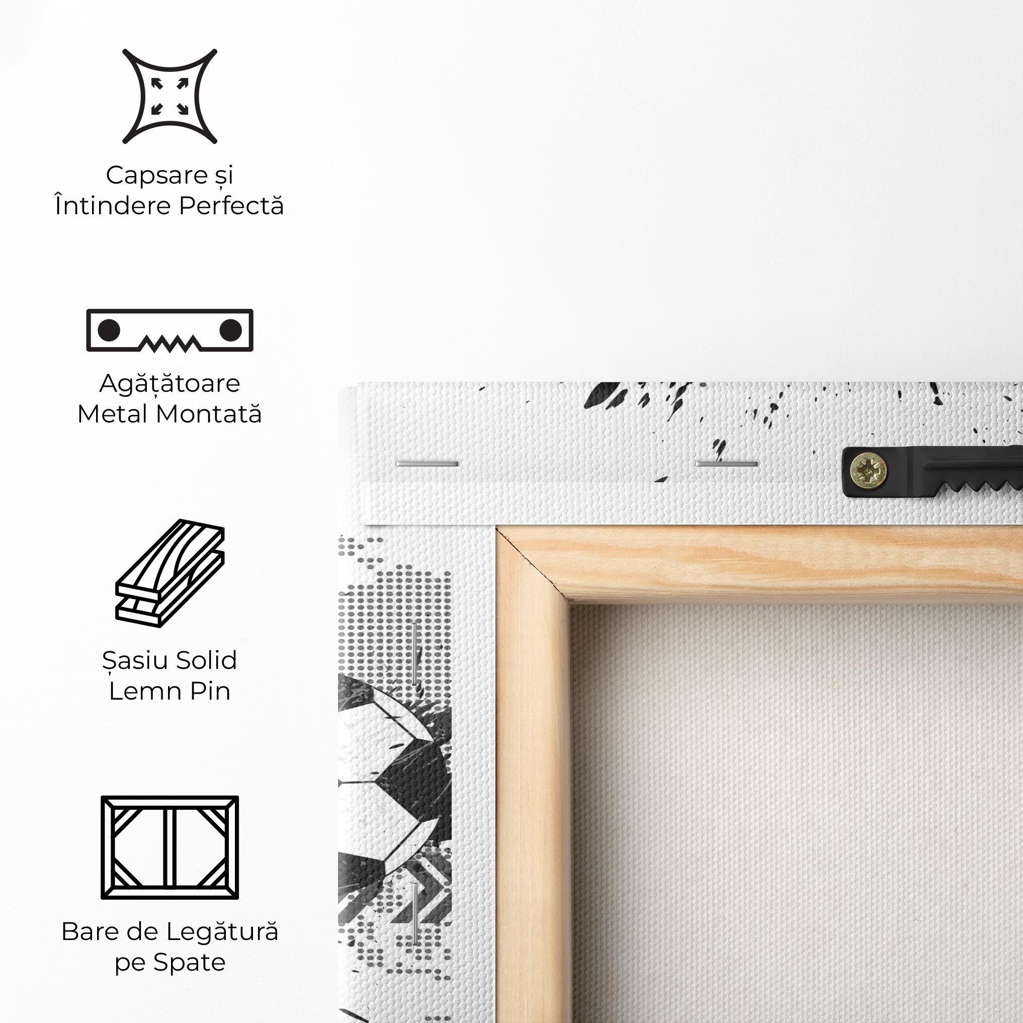 Tablou Canvas Grey Foodball mockup 5