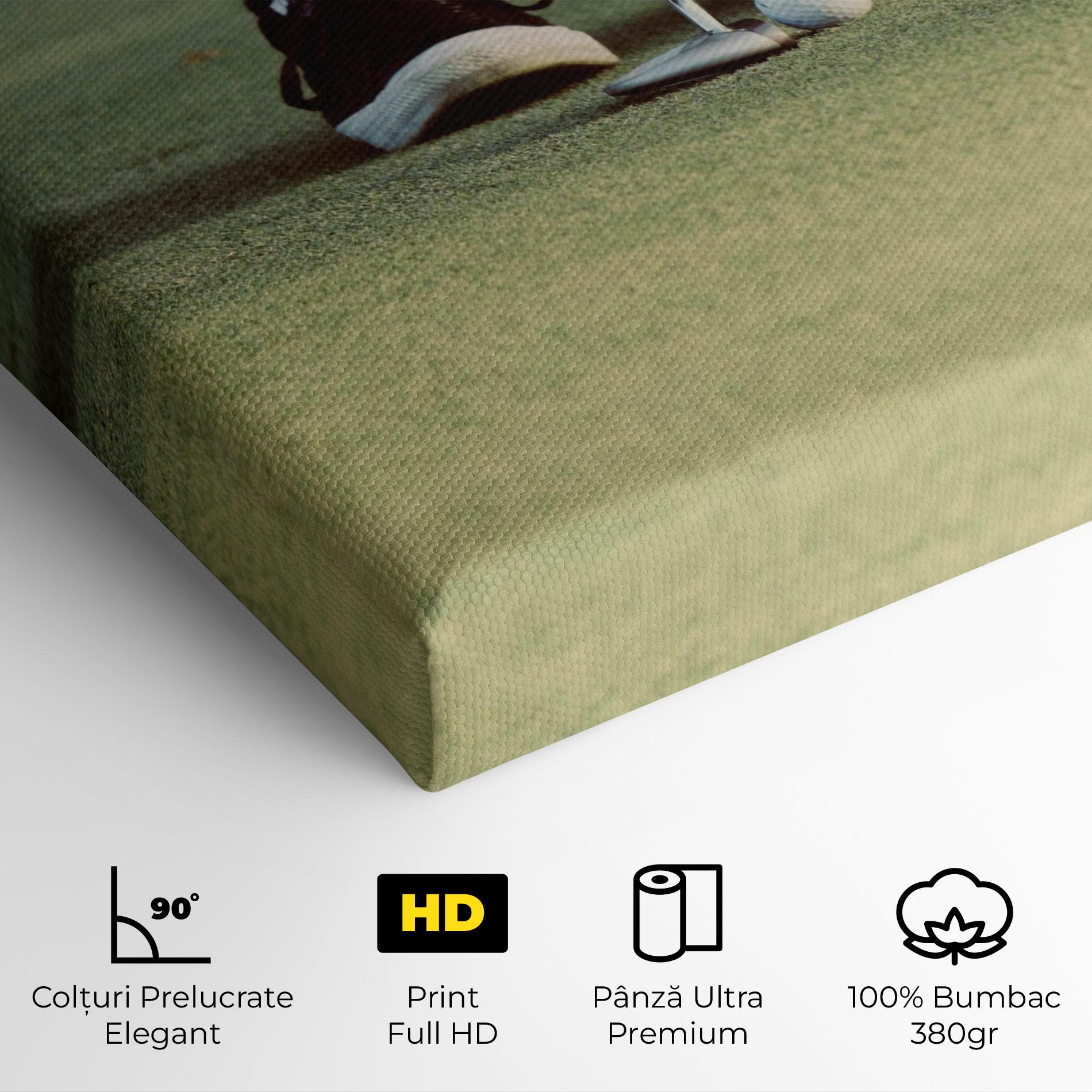 Tablou Canvas Converse Golf Ball mockup 4