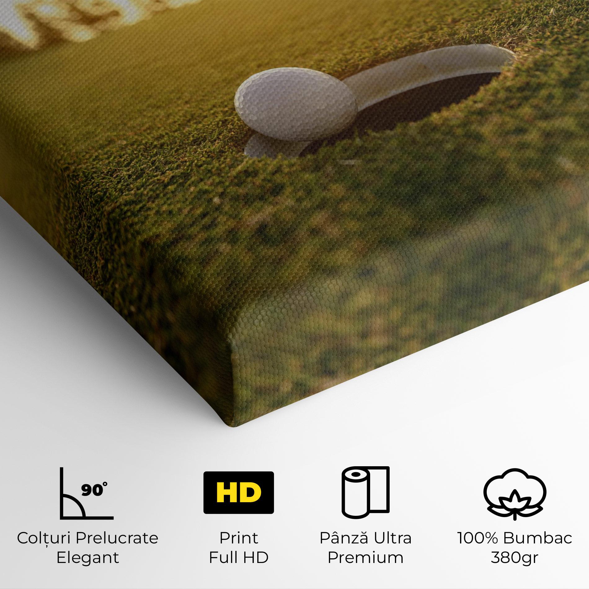 Tablou Canvas Golfer Concept mockup 4