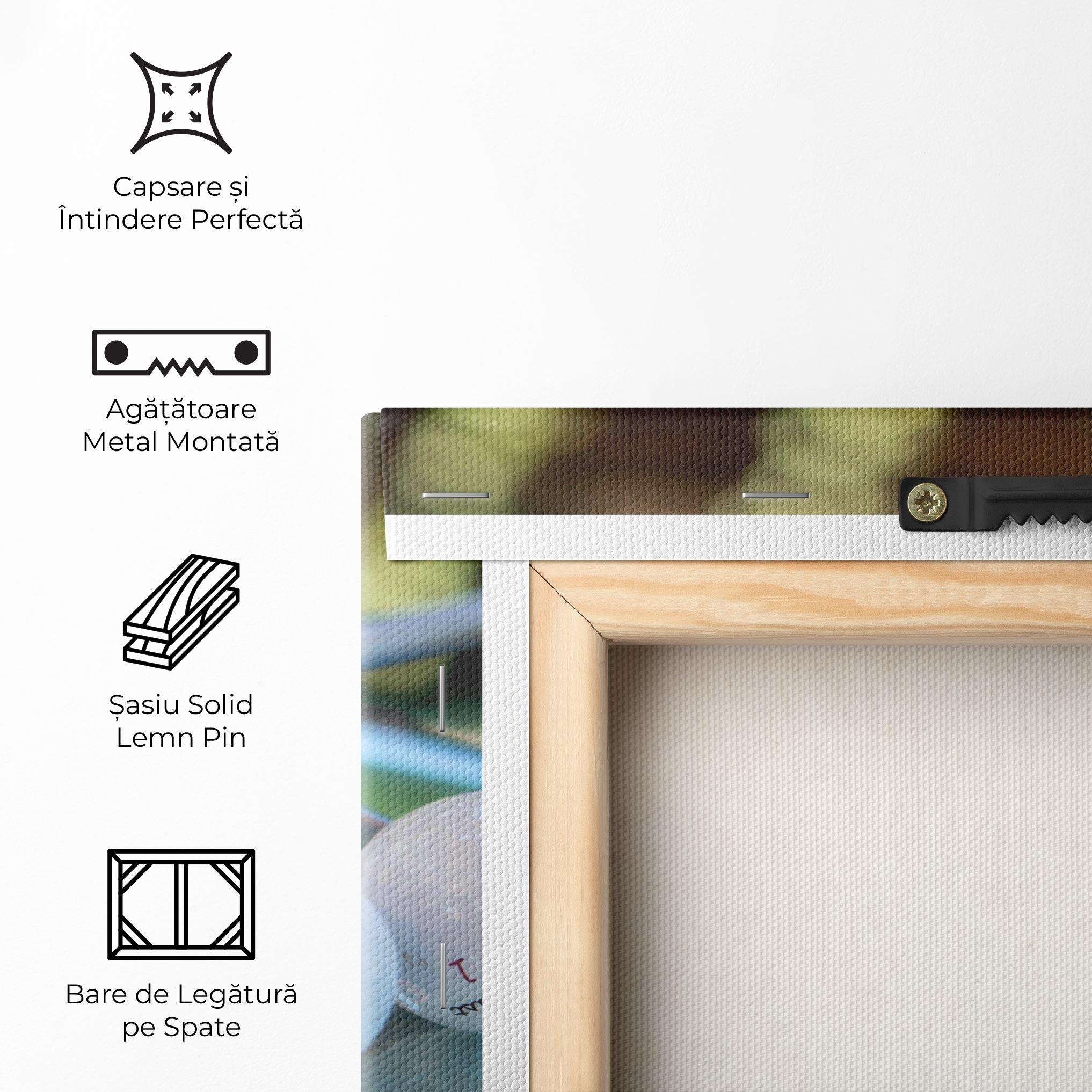 Tablou Canvas Golf Balls Set mockup 5