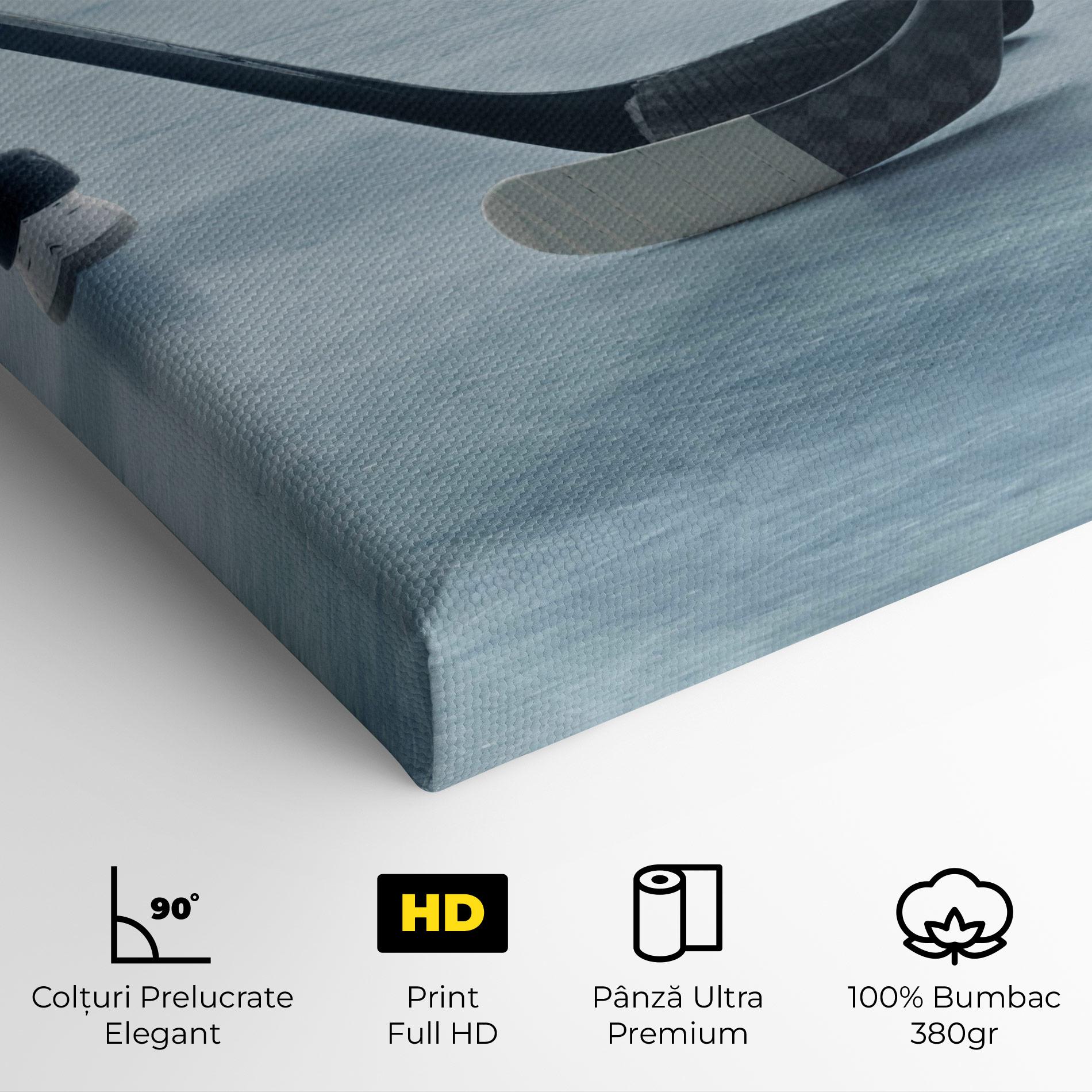 Tablou Canvas Ice Insight mockup 4